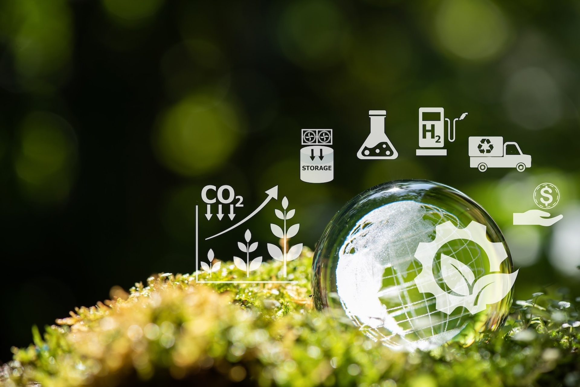 Vanuatu_6_wasanajai-1756384139