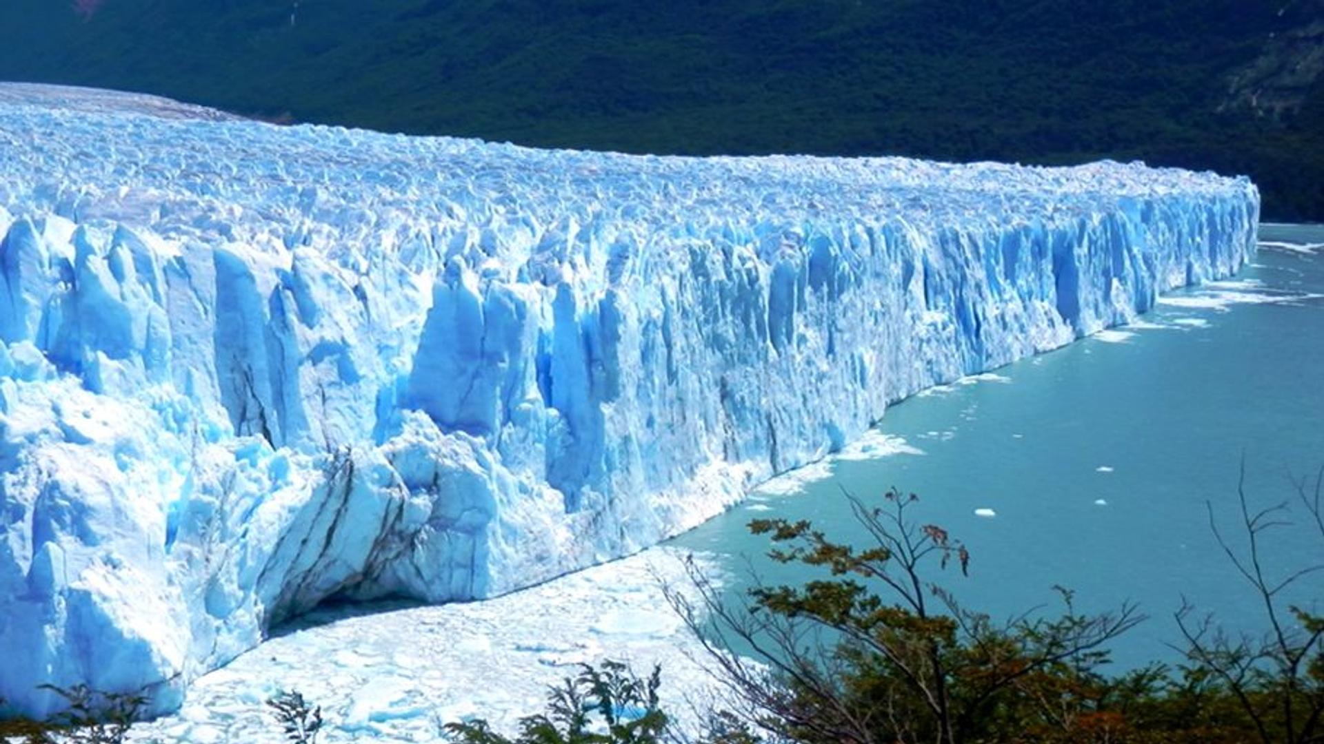 c263e72b-4612-4912-b52d-a1d3ddbd8c37-1605104612