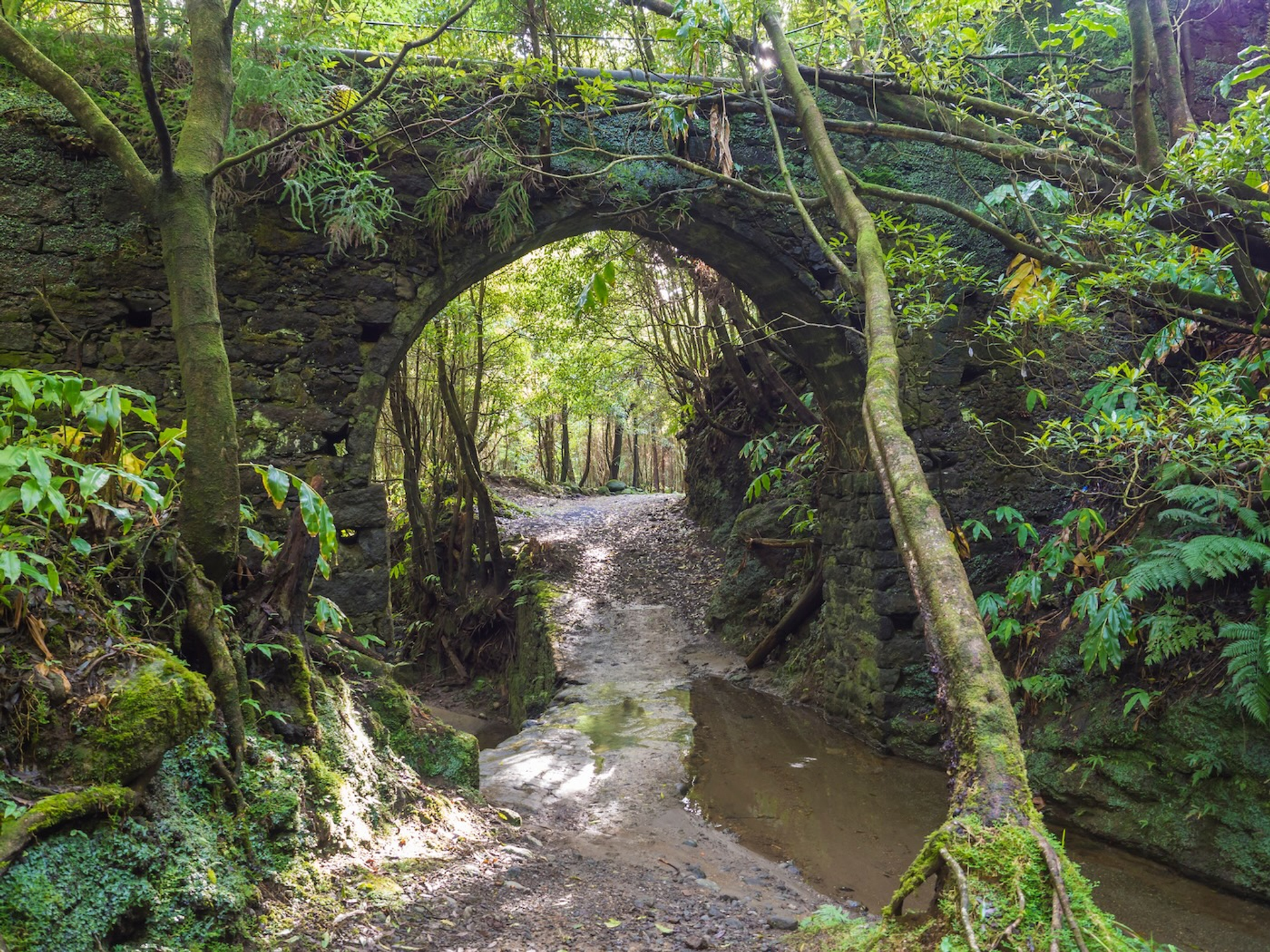 Kristyna_Henkeova-1756814541