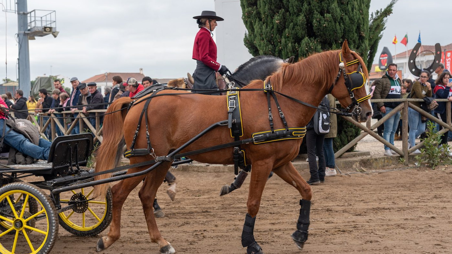 bc5595f6-f446-4a67-a0c0-364d3971e4d0-1605001966