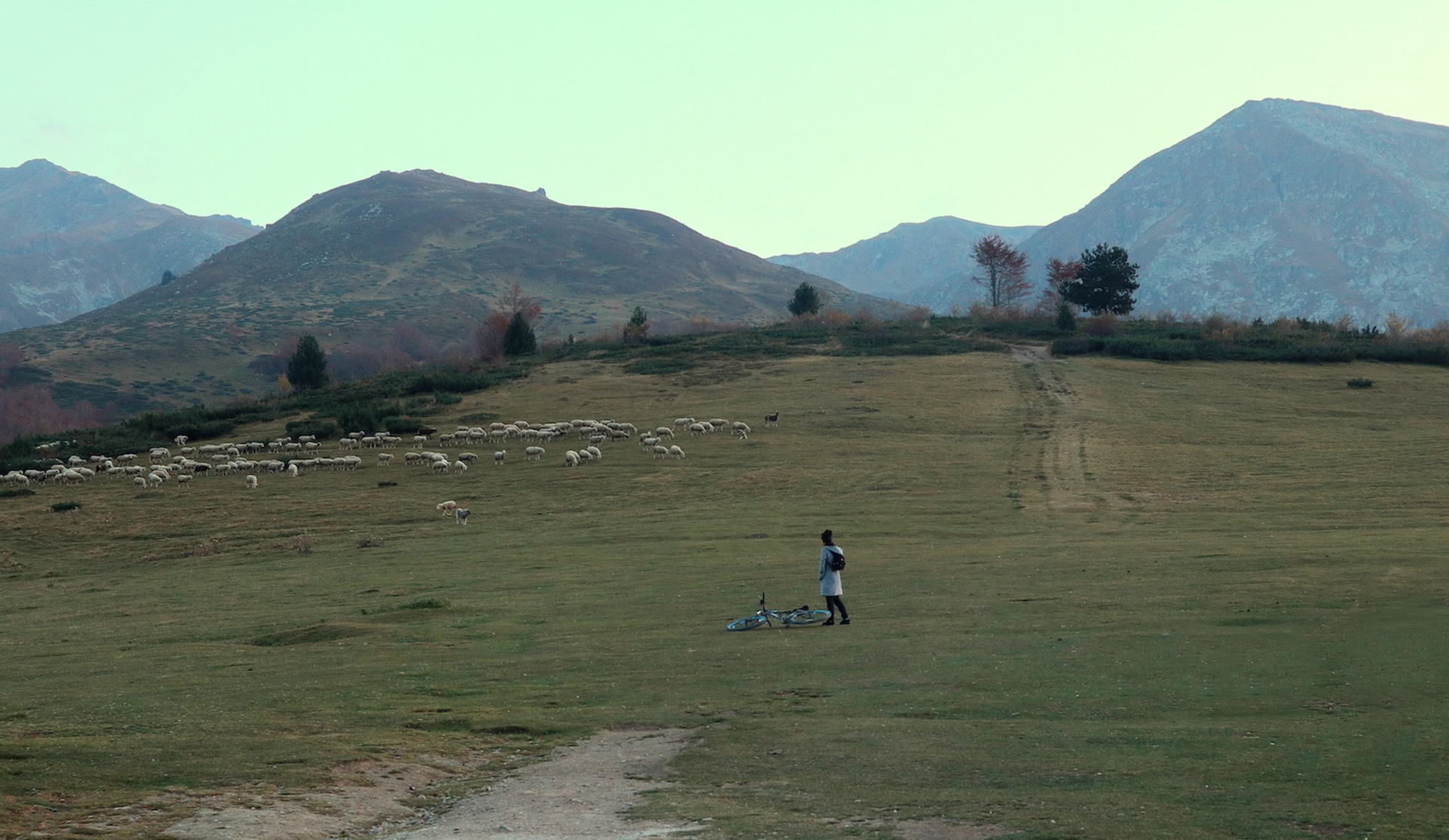 shutterstock_1288019713-1741249108