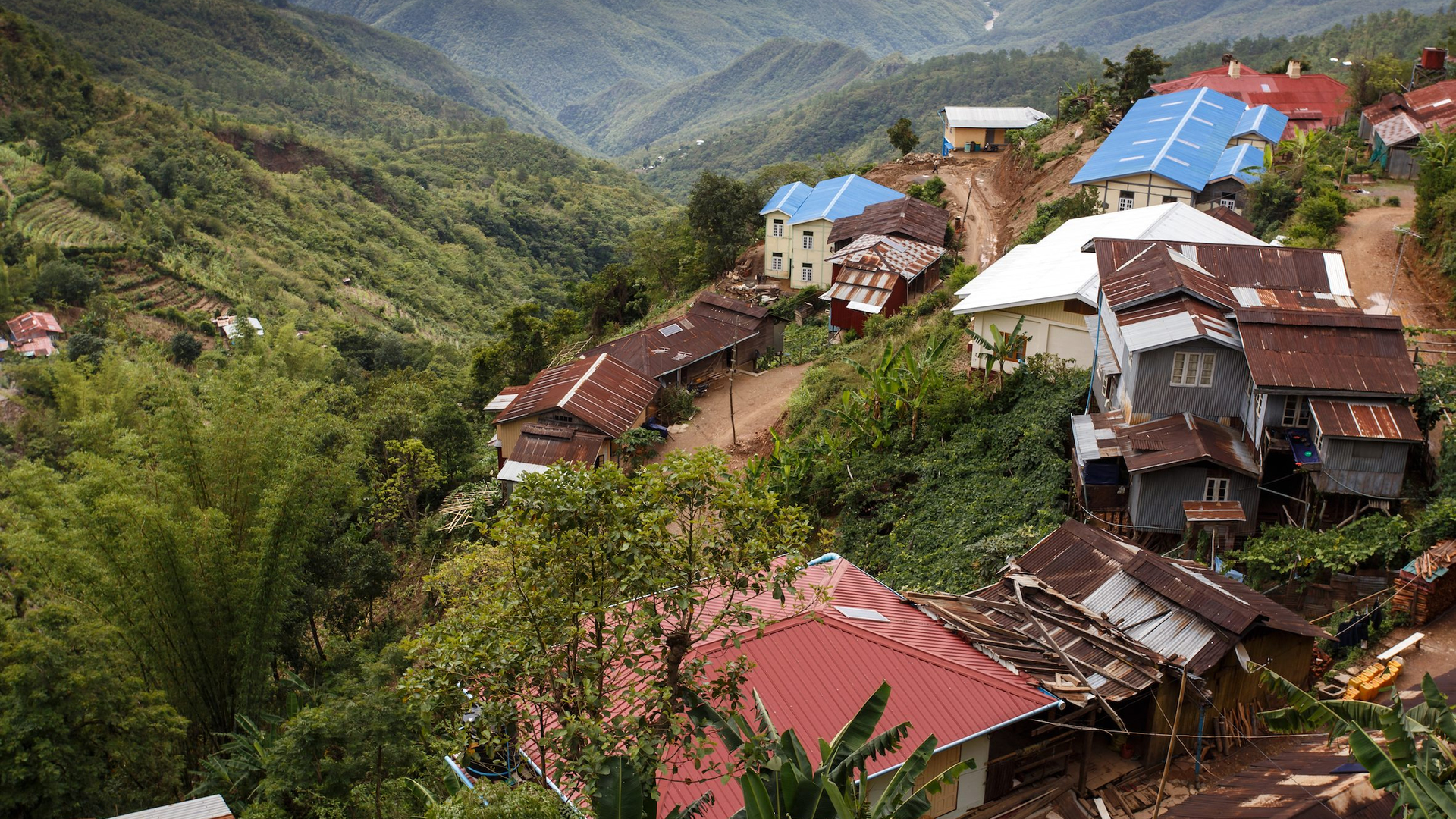 8c0f6663-3d8c-4cc3-a638-50df57c9dc0e-1605106051