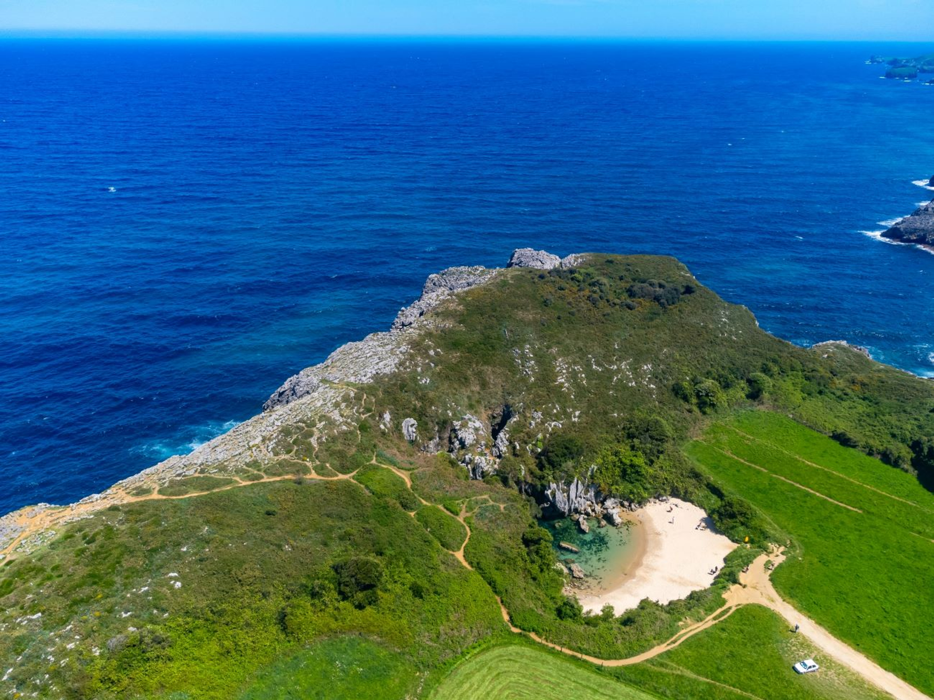 barmalini_3-1703090393