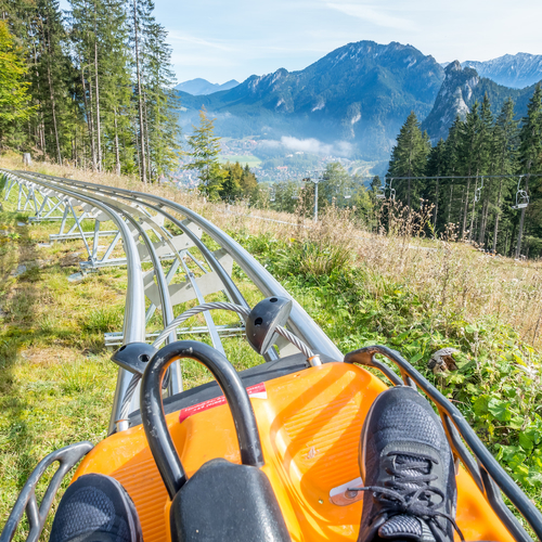Mountain coasters: glijdend over glooiende bergen van Europa