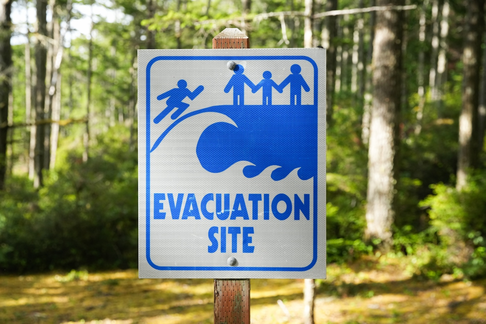 shutterstock_2500751445-1753881053