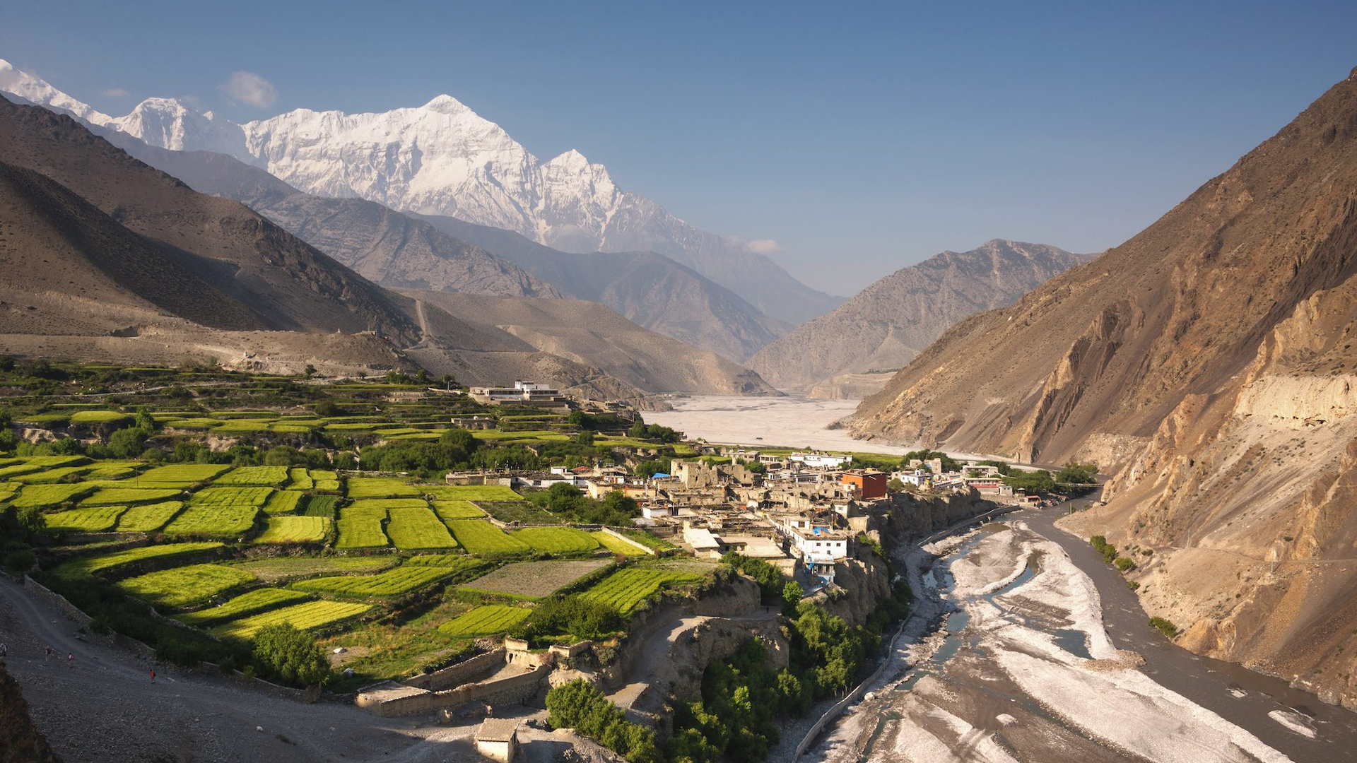 1ae1b036-0cce-4302-8f35-ef3e27b979d0-1605105188