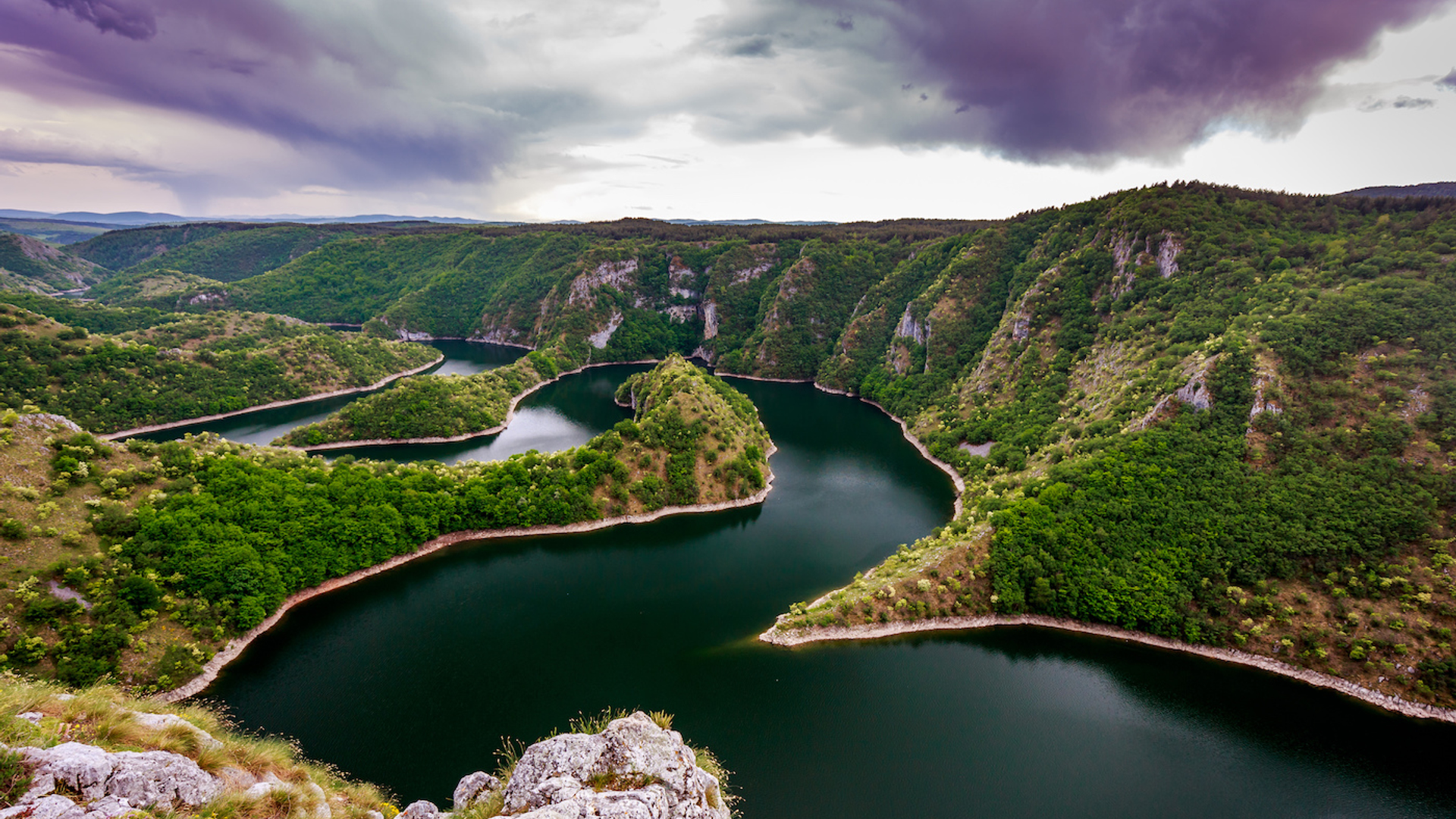 Mila_Davidovic-1702478096