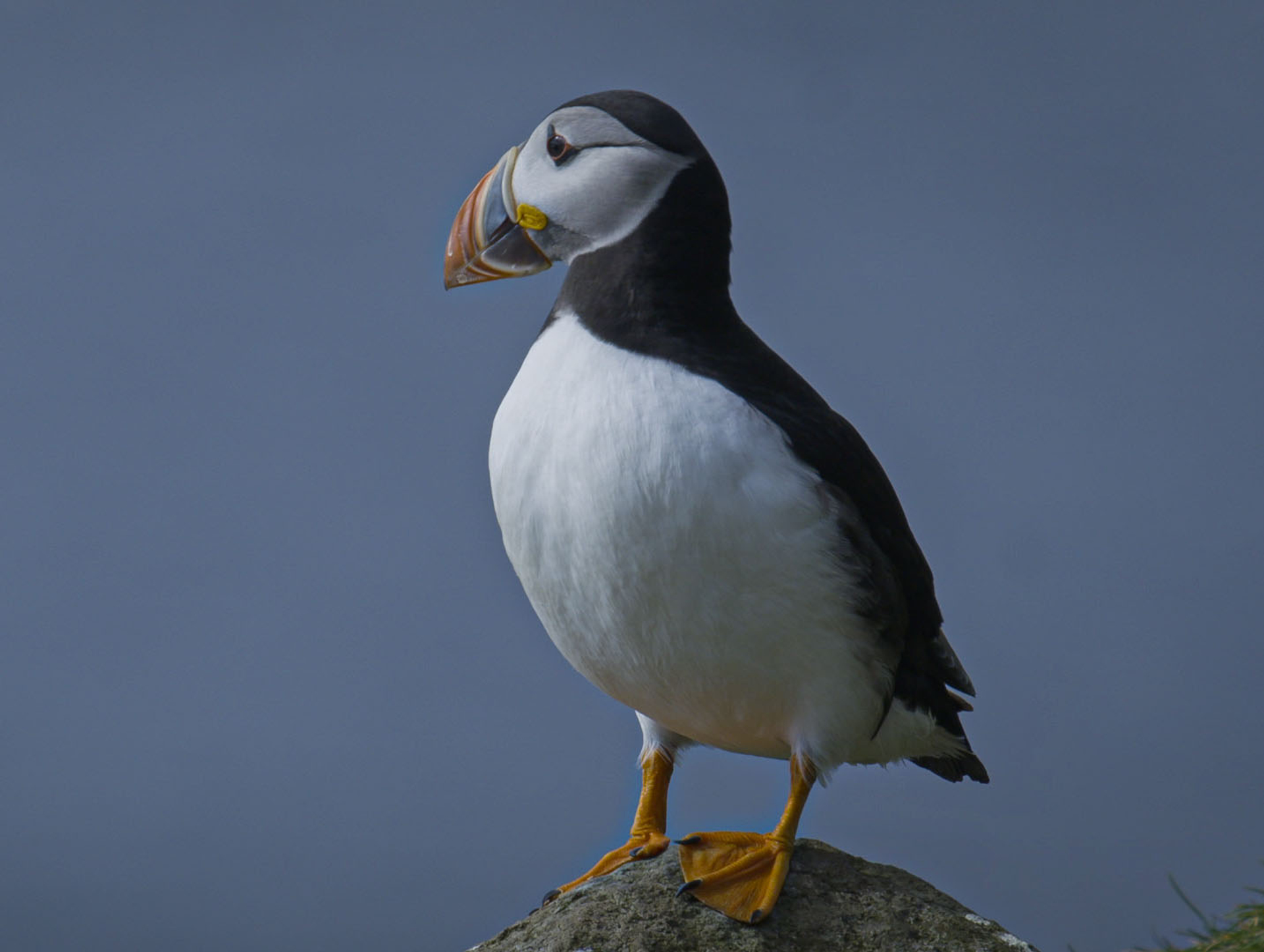 IMG_0126.jpg_2-1610026882