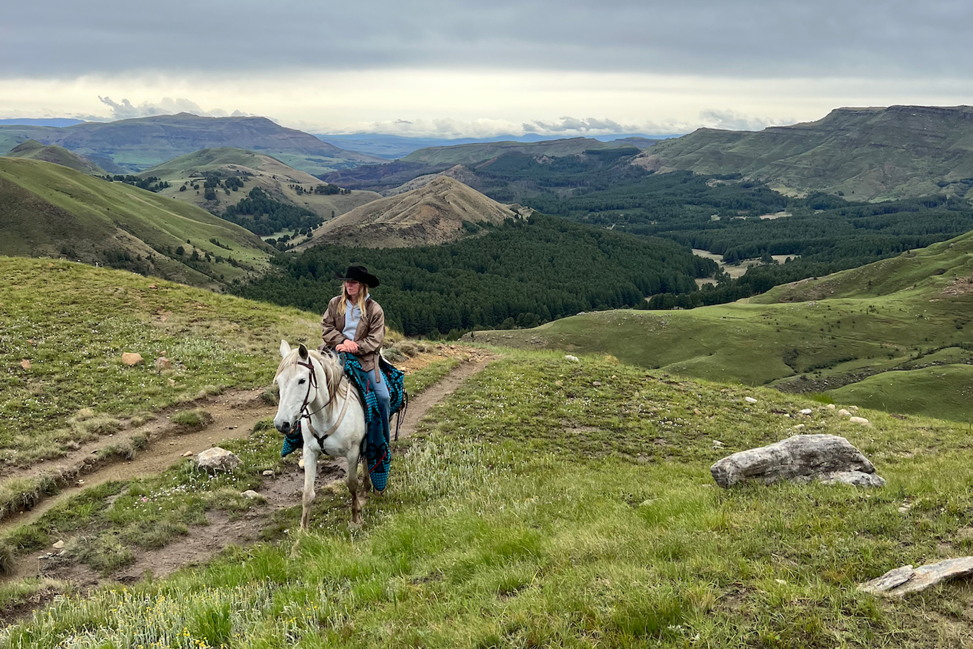 DSC_1774344-1706188691