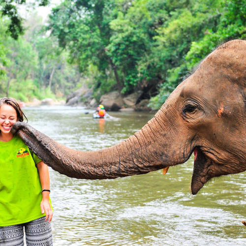 Echte red flags in het wildlife-toerisme: hier wil je niet aan meedoen