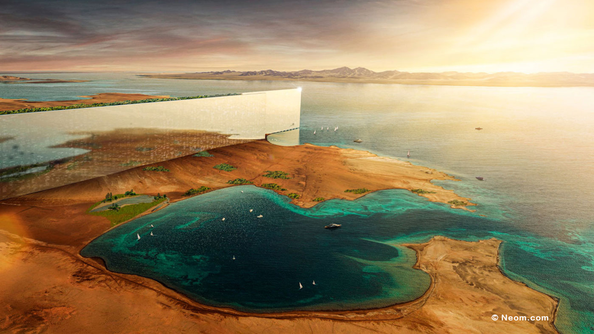 Thumbnail_The_Line-1662198345