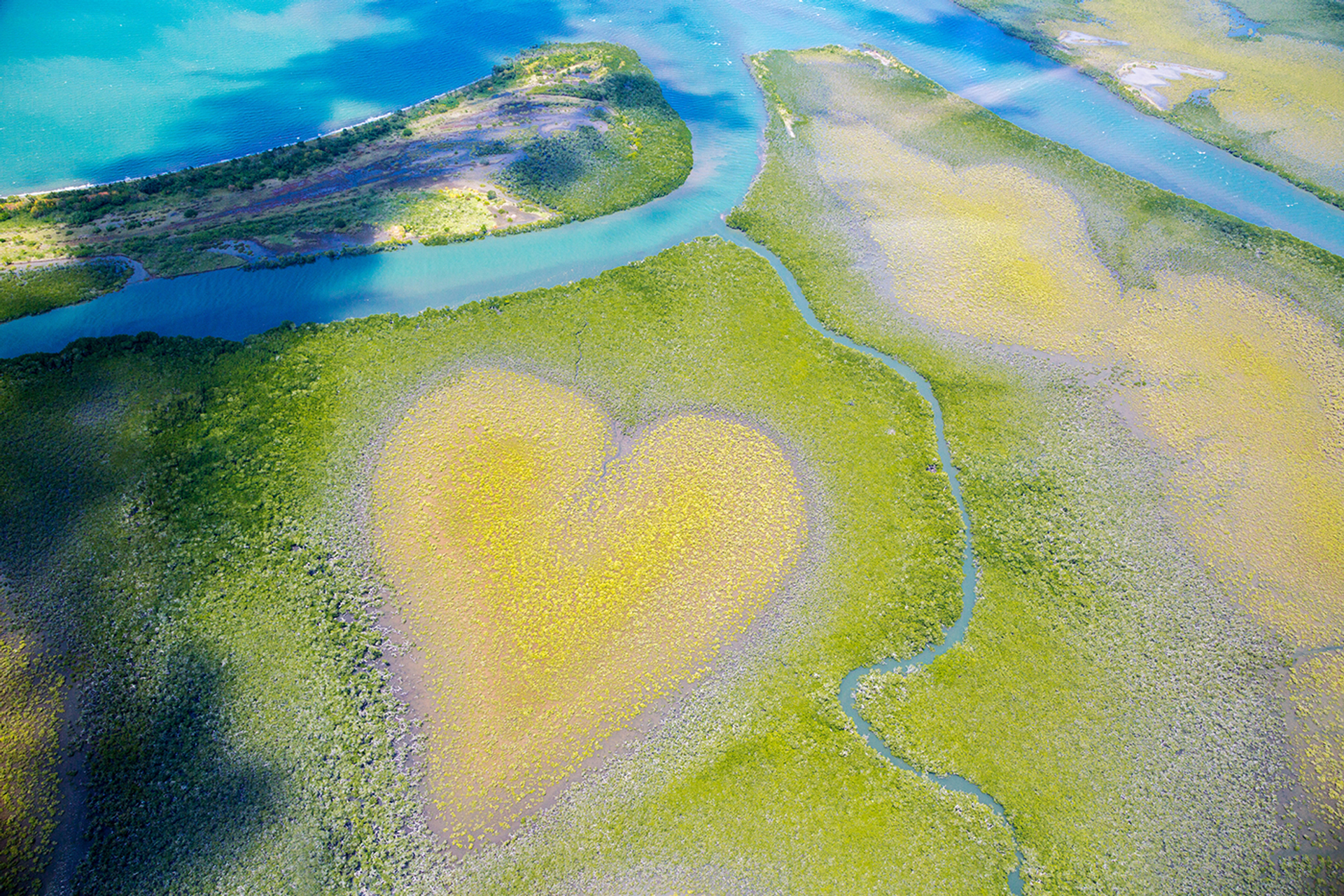 3OR_Mangroves_Nieuw-Caledonie__-1658155040