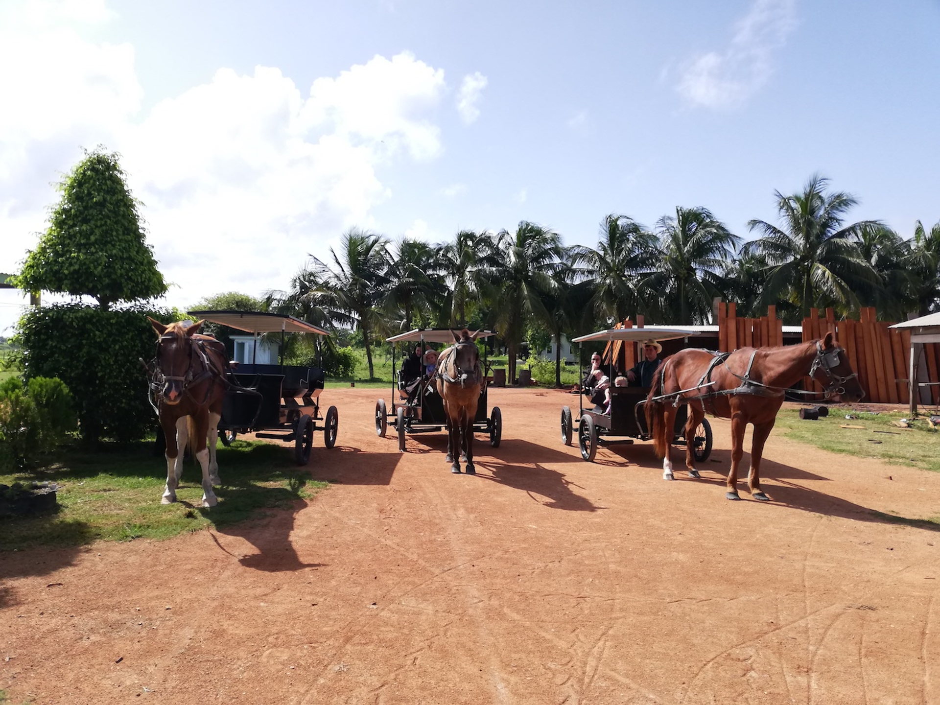 IMG_20191013_092318-1708598458