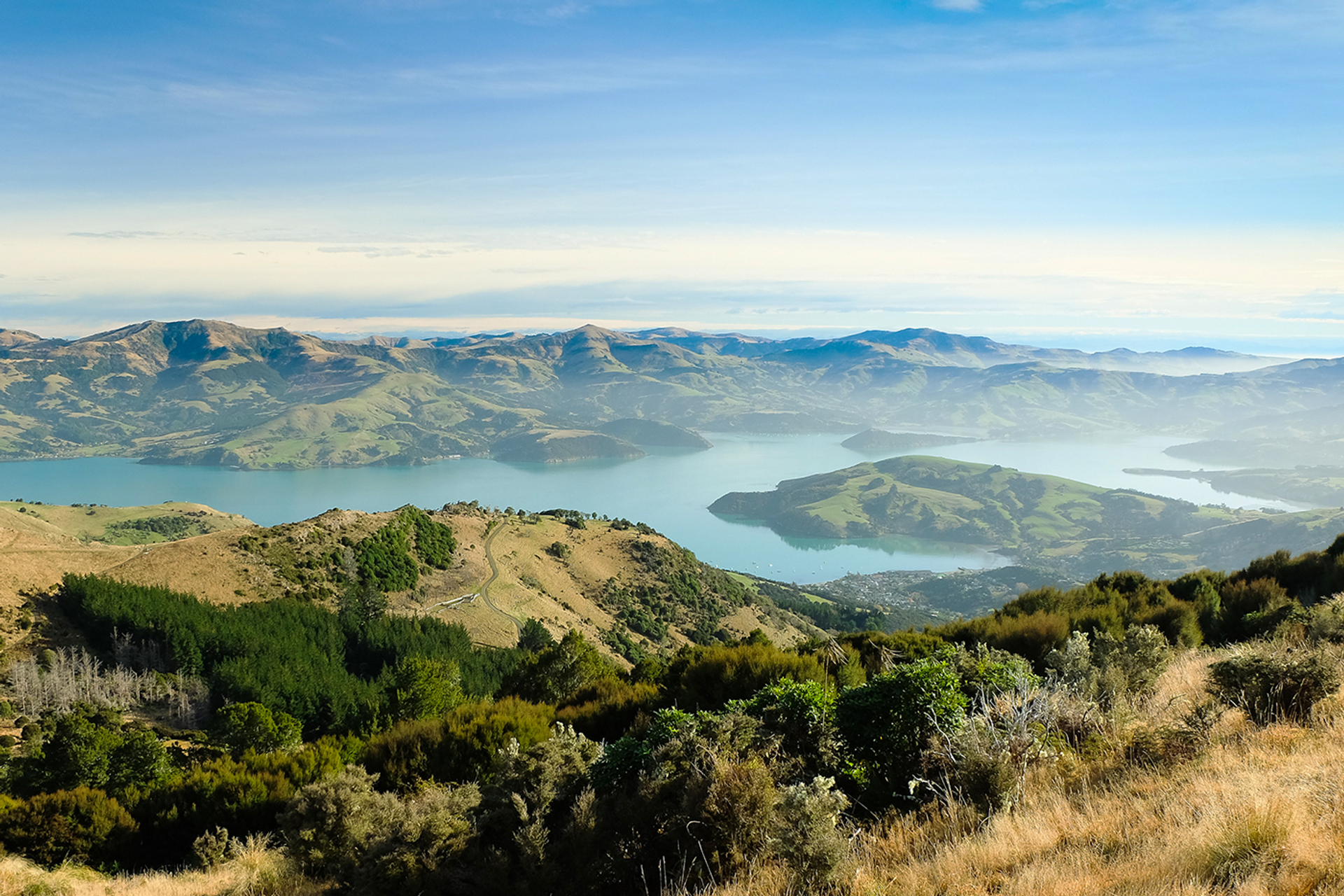 3OR_Akaroa_Harbour_Nieuw-Zeeland-1660574736