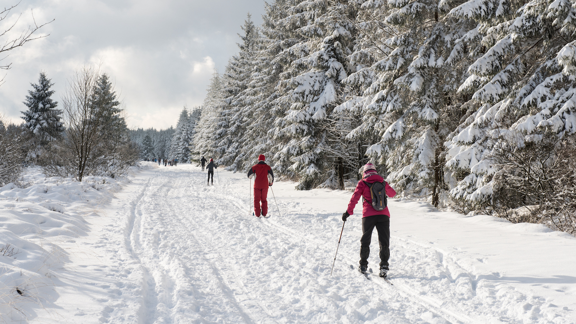 shutterstock_364927964-1701779817