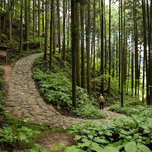 40 miljoen toeristen: zo ontwijk je ze tijdens je reis door Japan