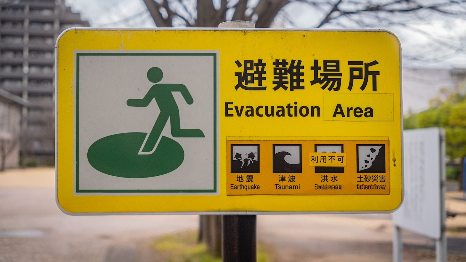 Heidi_Besen-1753887986