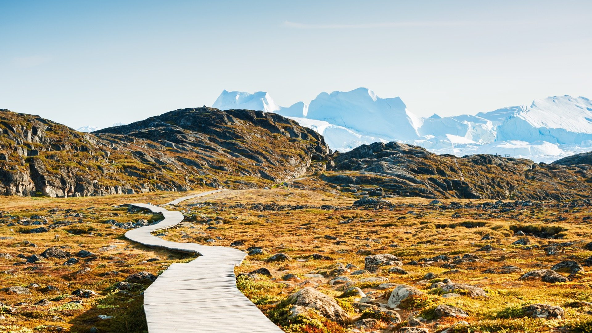 014a7dc3-ea23-4c6b-b9f5-ef2f8280a1a9-1605103936