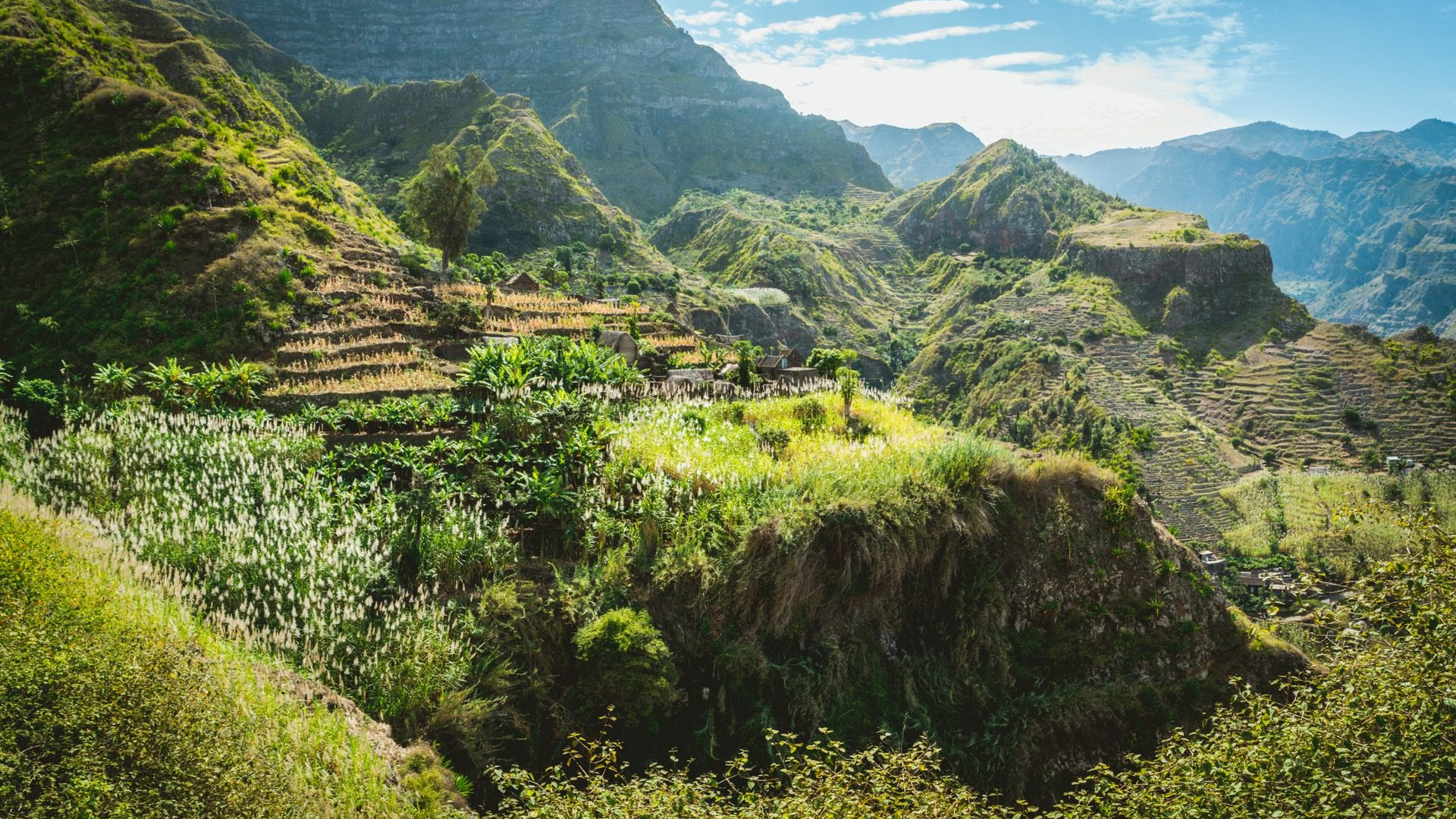 6e1dfb46-c7ee-4468-9f24-0008272aed1f-1605090932