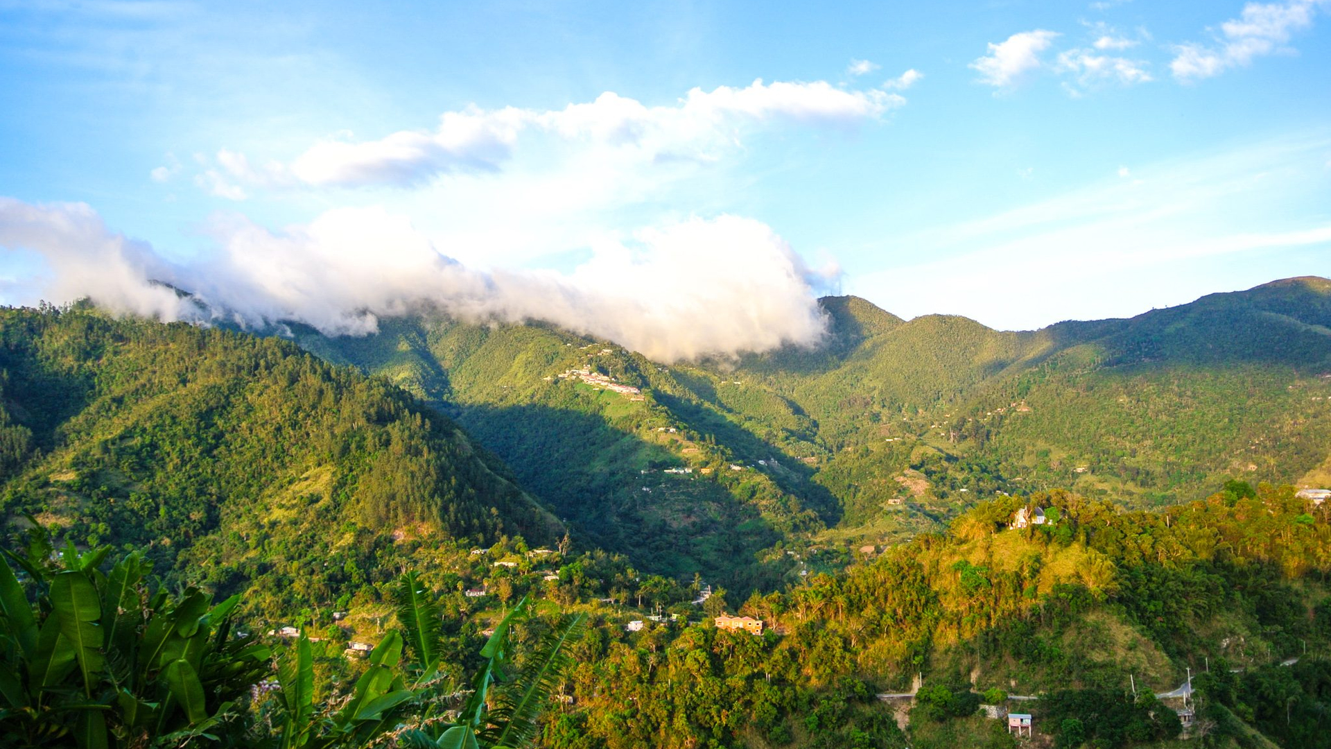 43c05fbc-5e11-42f6-b9e8-e45dd61f4548-1605103510