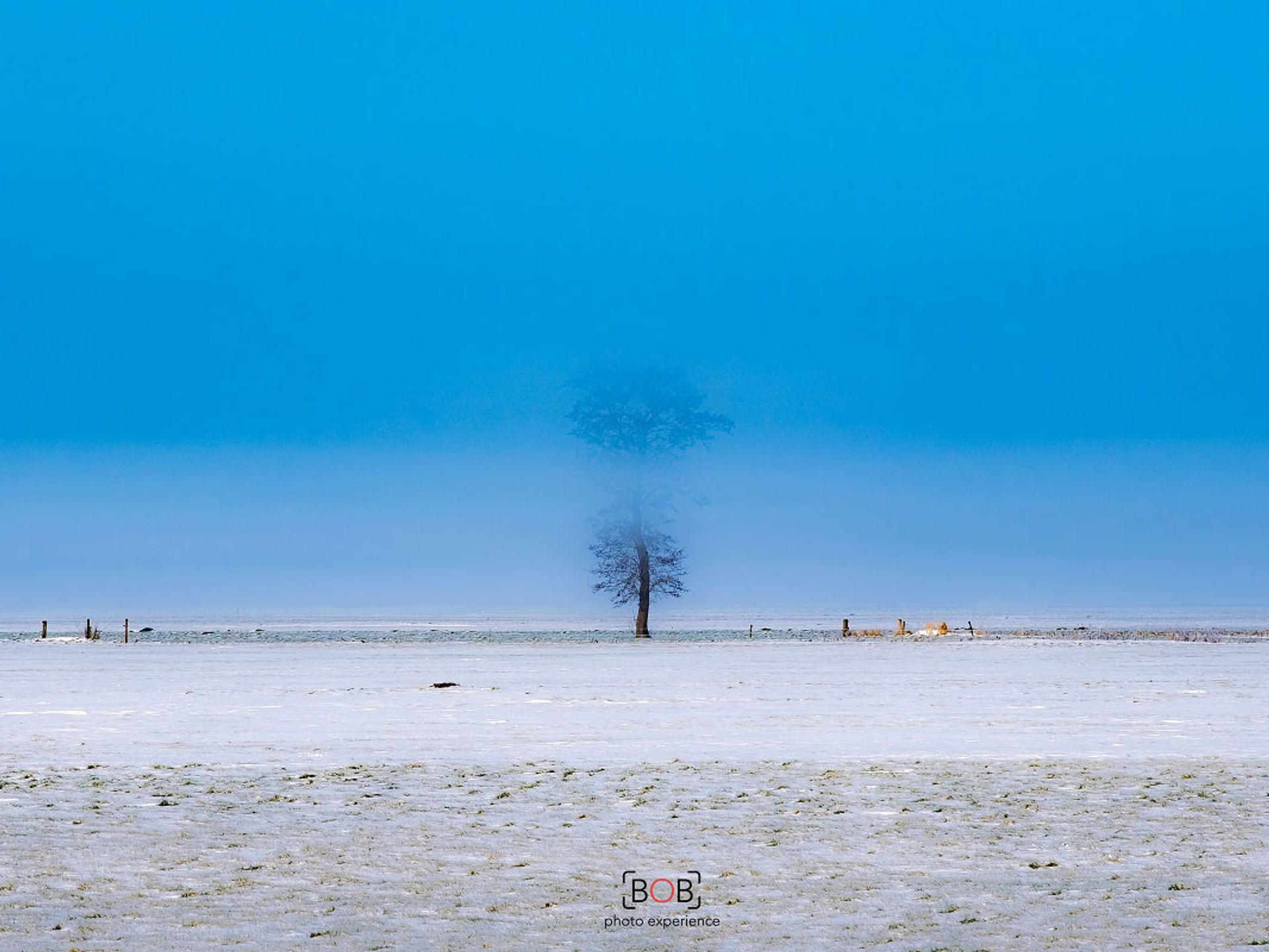 Bob_Kelderman__wijdste_landschap_bij_Hasselt-1614085678