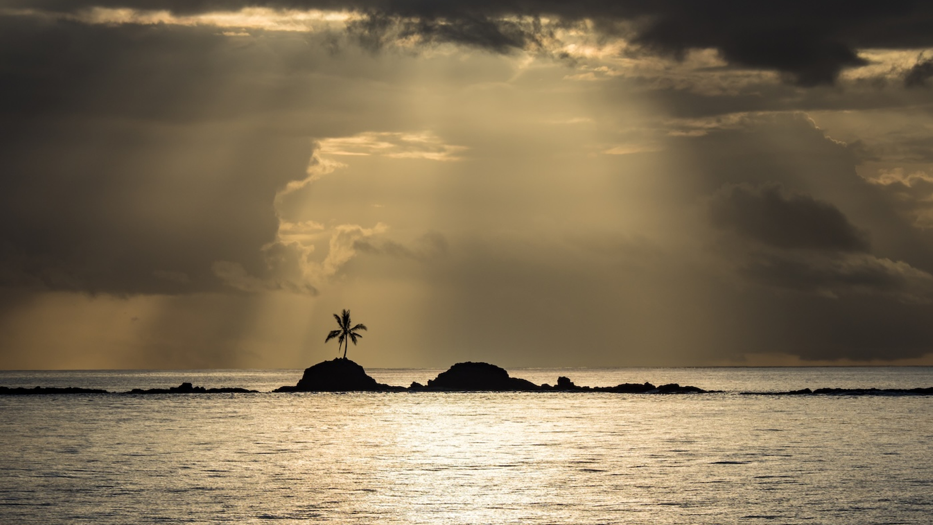 Mike_Workman-1742467085