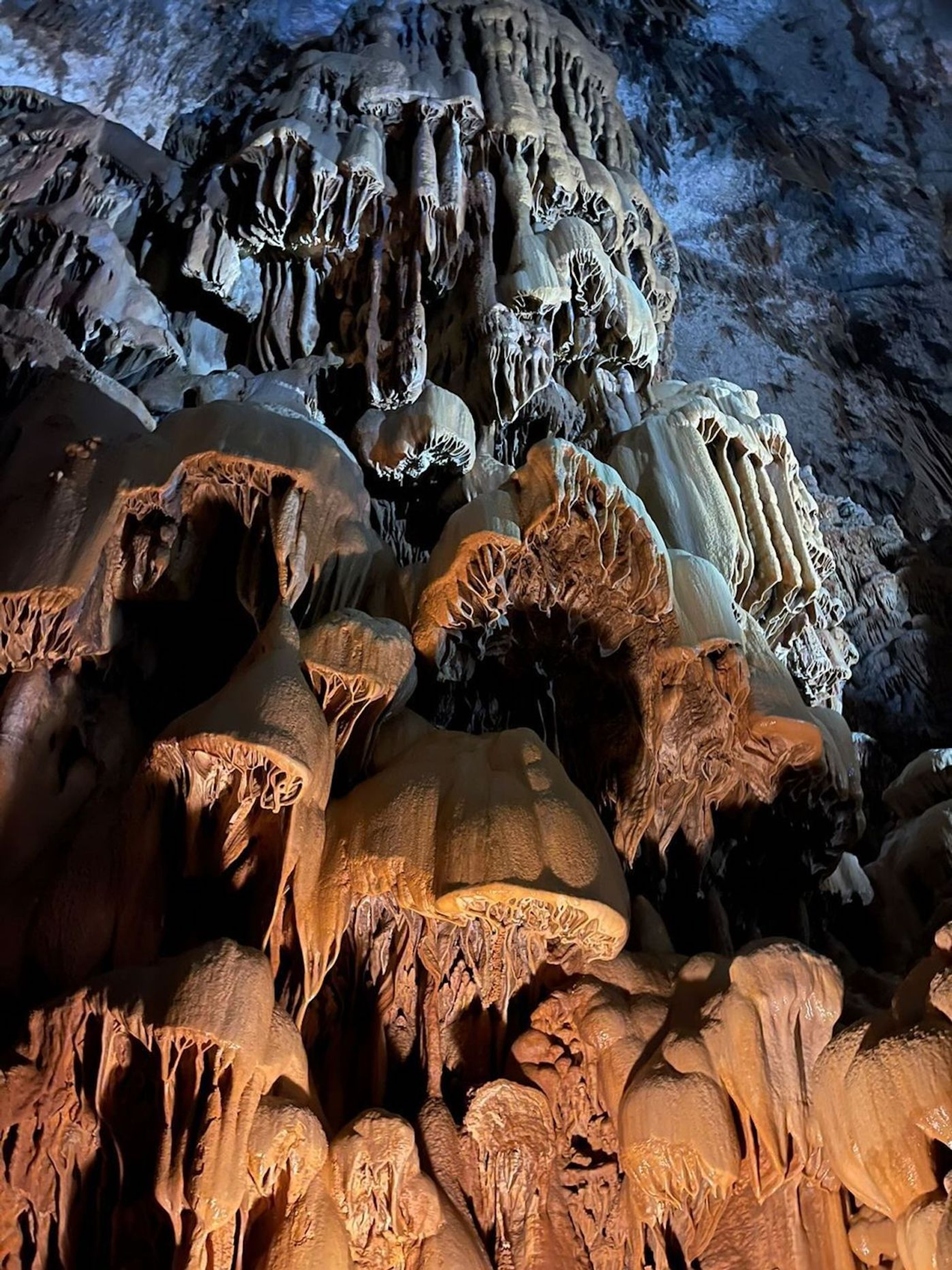 ahmad_al-allaf3-1656418079