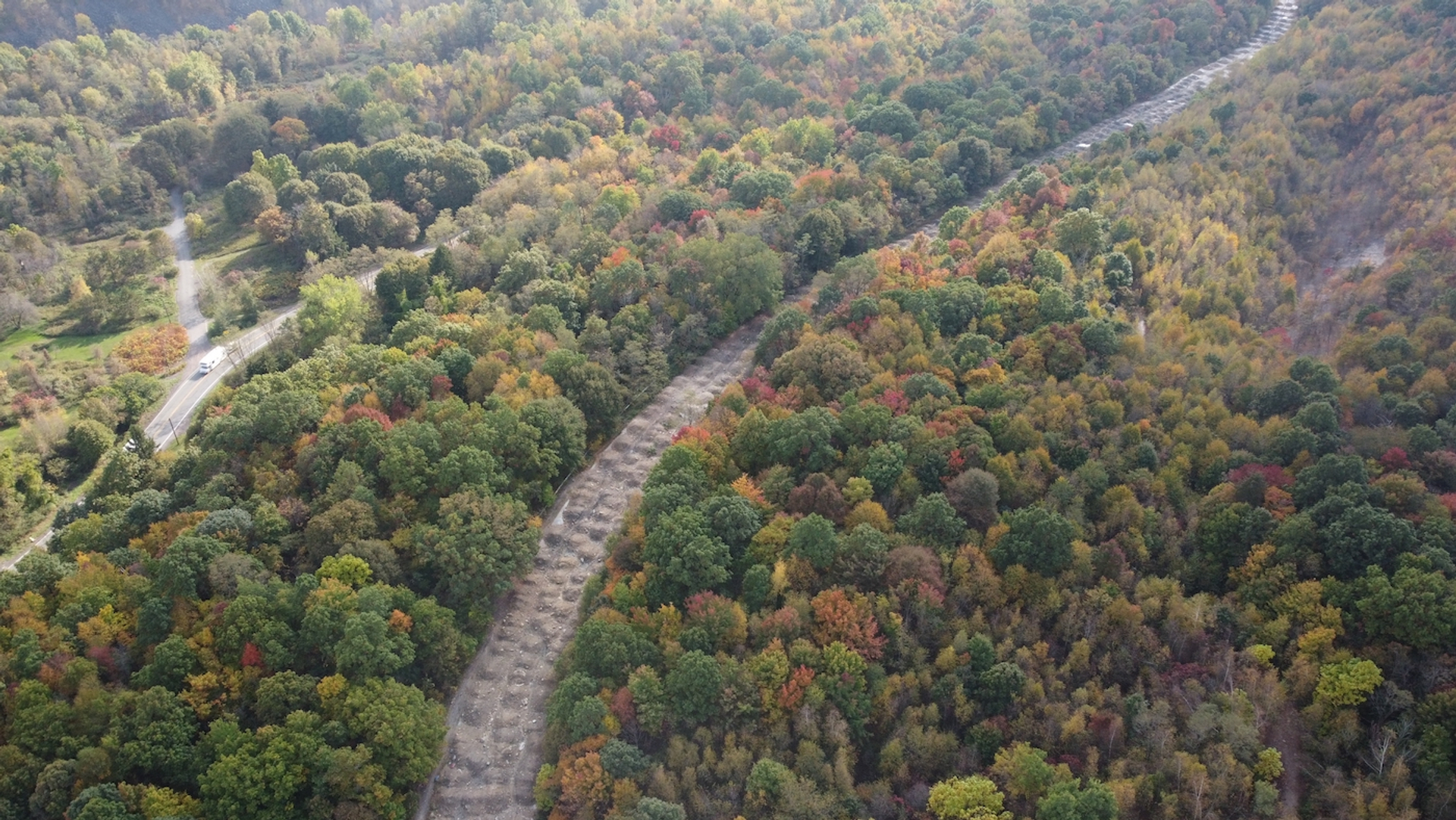 RinTinRon.___-1652881183