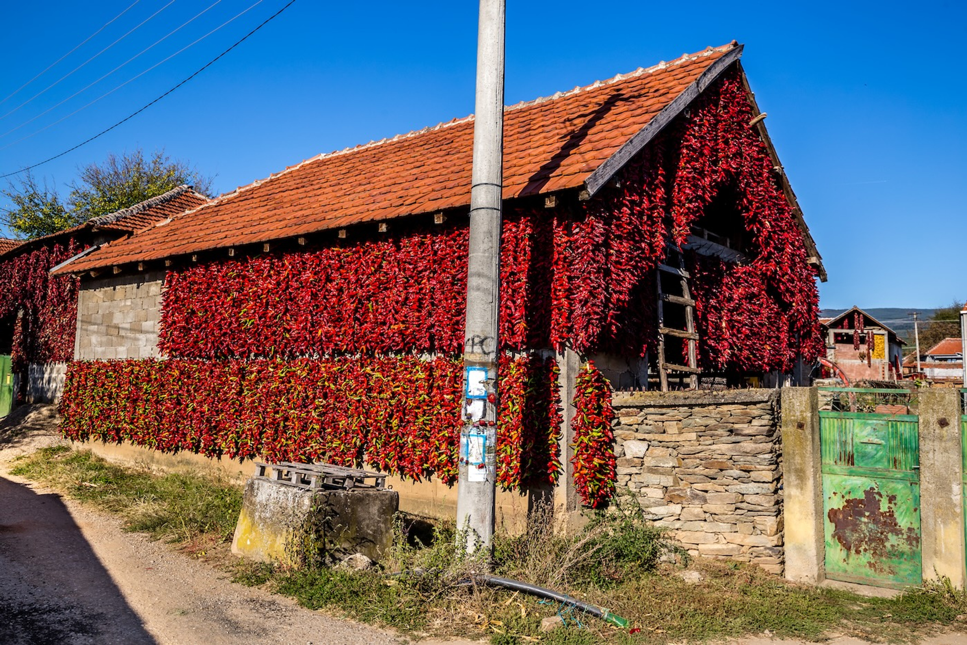 Zdenek_Matyas_Photography-1741257060