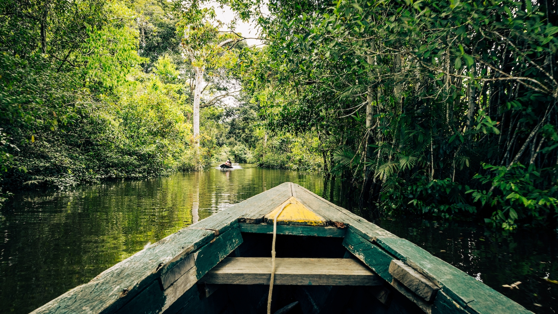 Curioso.Photography___Shutterstock.com-1700235194