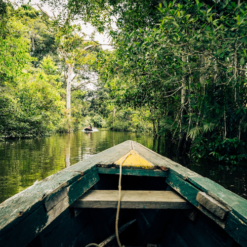 De jungle onder druk: hoe Ecuador vecht voor behoud van het regenwoud
