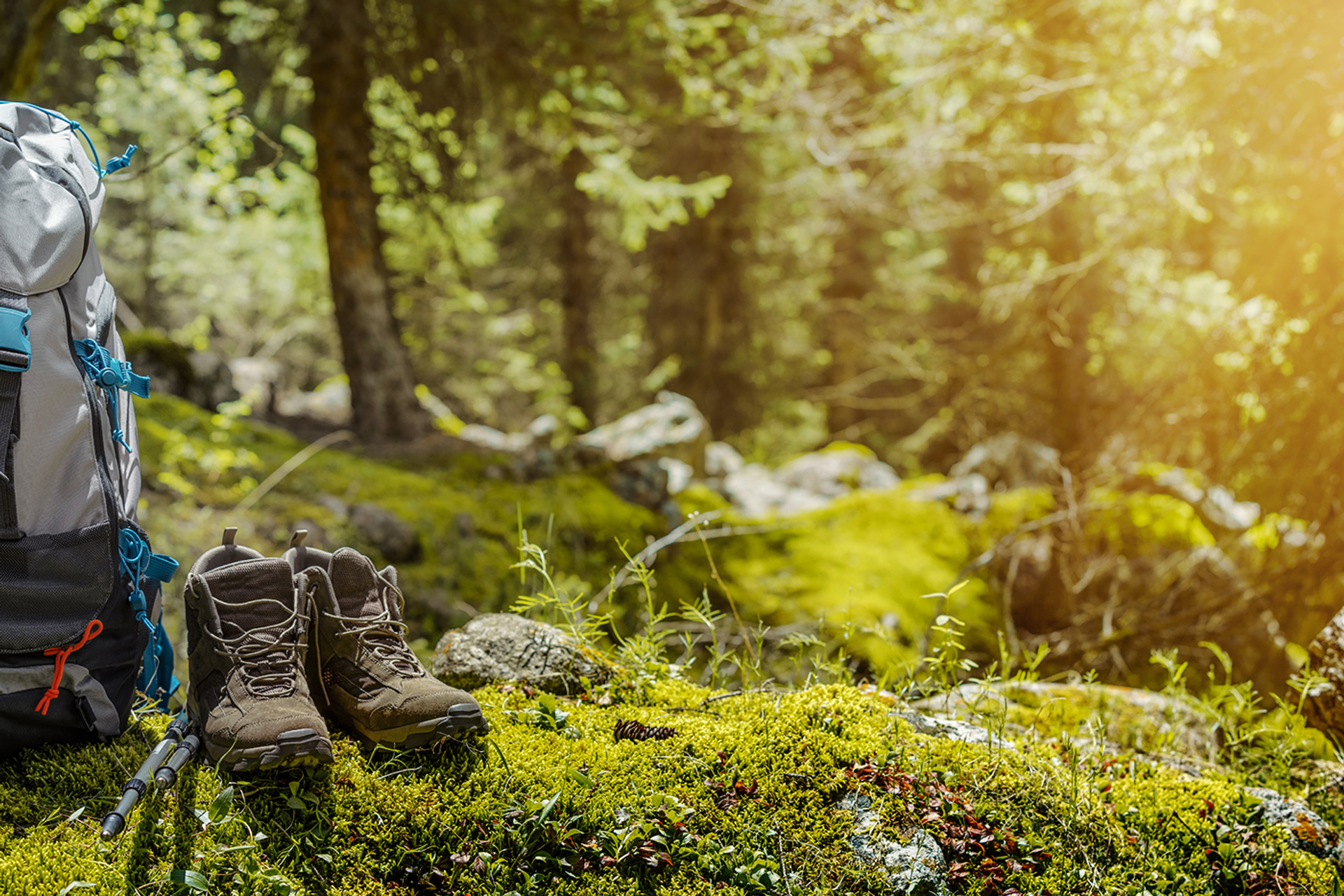 3OR_Backpack_wandelschoenen_wandelstok_bos-1659529030