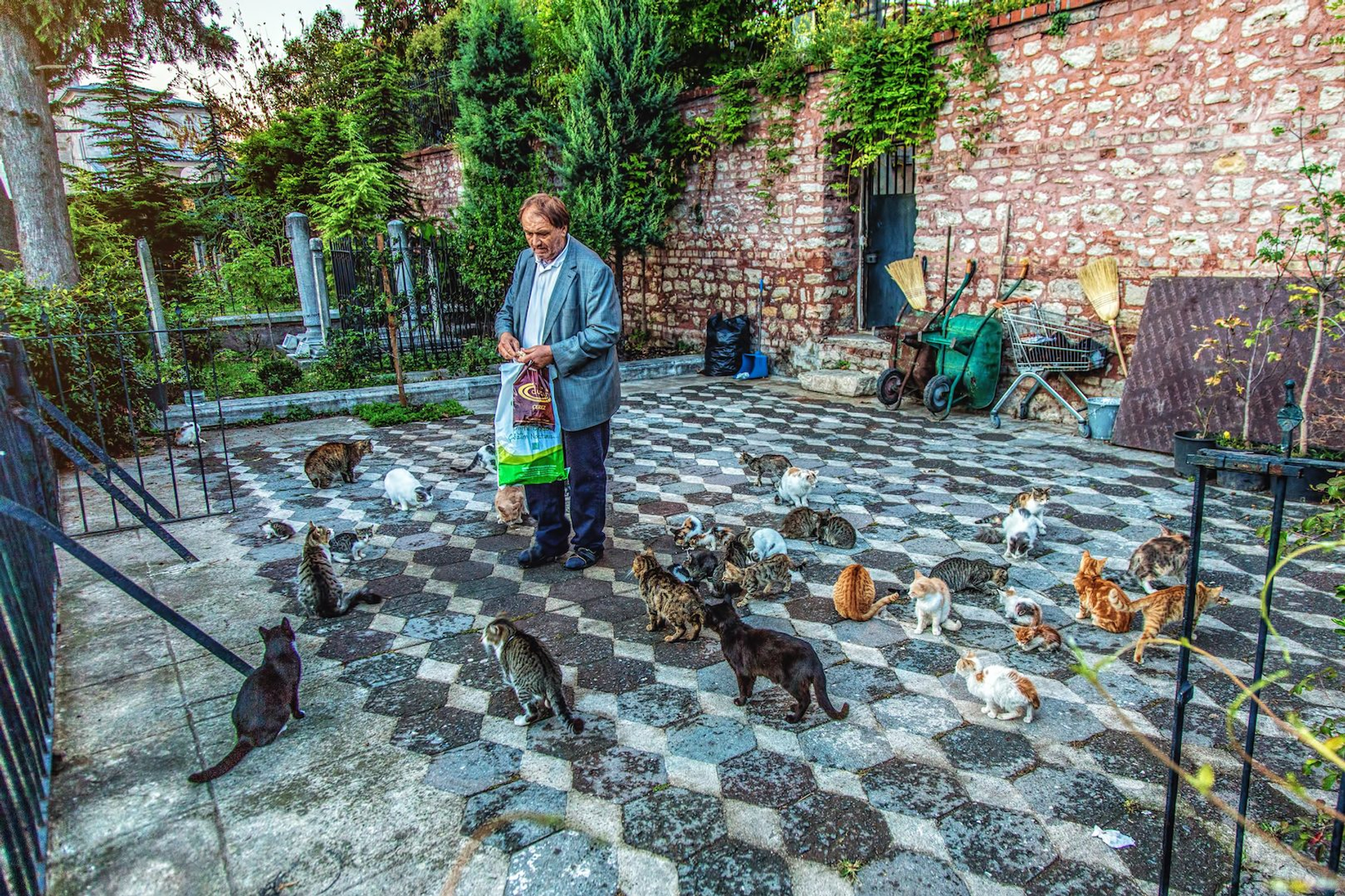 d5dced67-7444-4ce2-86b2-2ac254685ded-1604993884