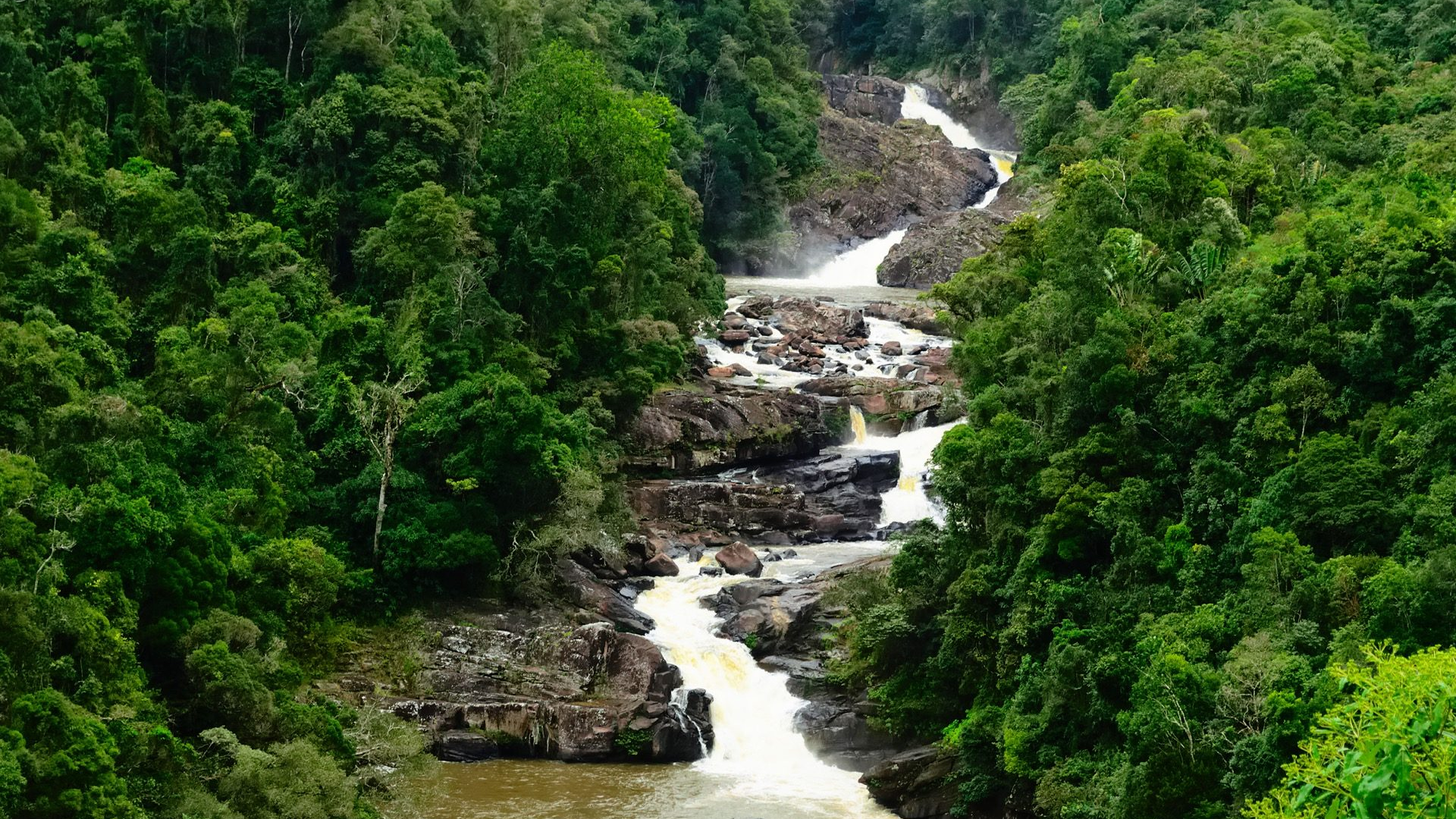 6c149a12-c586-489e-88bc-f19acdea23d4-1605103305