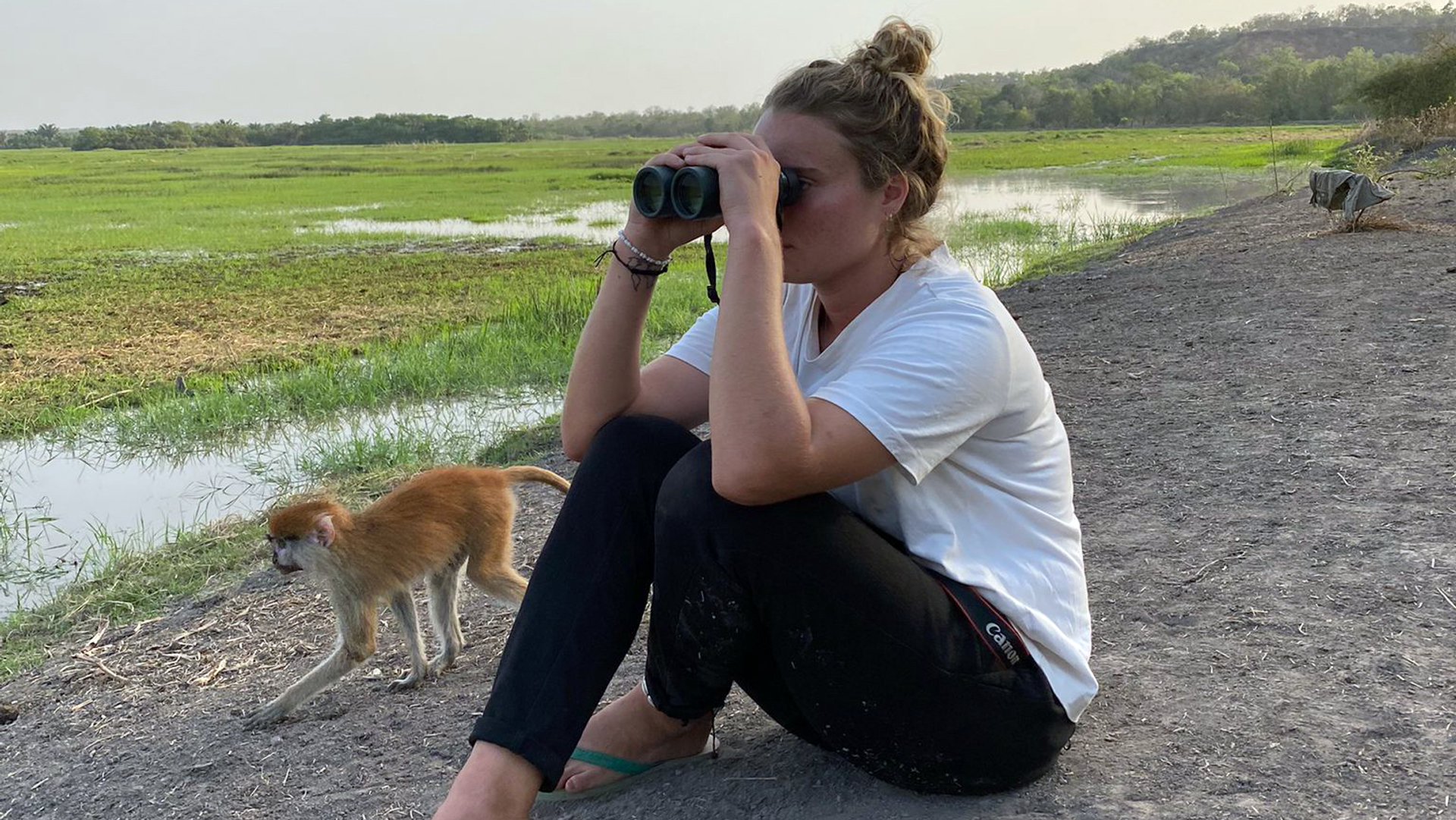 Afbeelding van Eva leefde wekenlang met apen in de Gambiaanse wildernis: “Ik werd echt onderdeel van de familie”