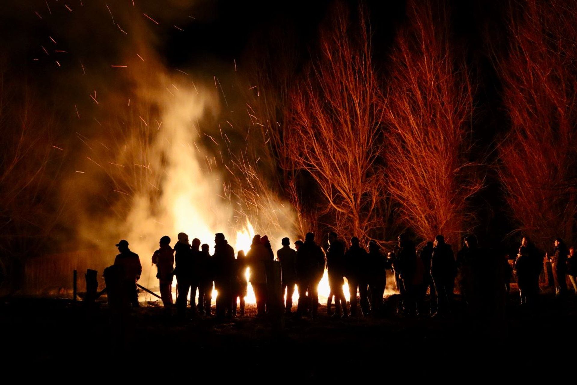 Ilona_Lablaika-1704287124