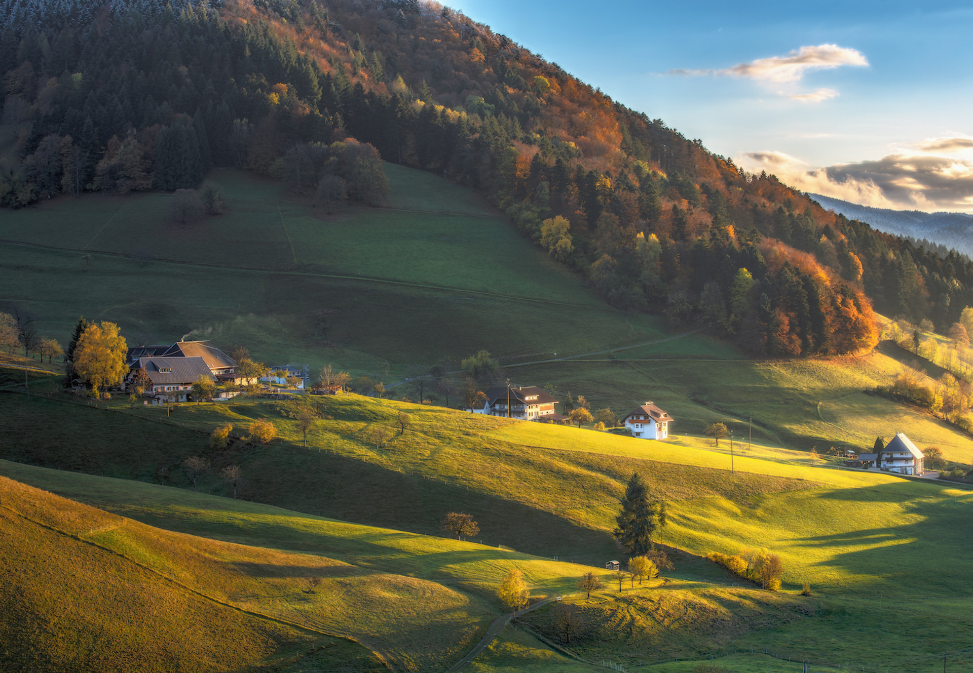 Funny_Solution_Studio_-1666778584