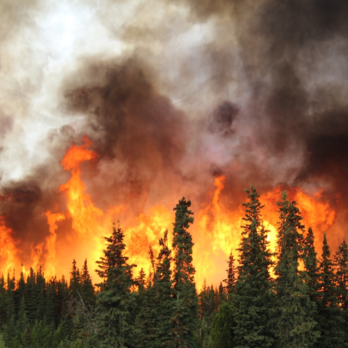 Waarom de poolcirkel steeds vaker in brand staat, zélfs in de winter
