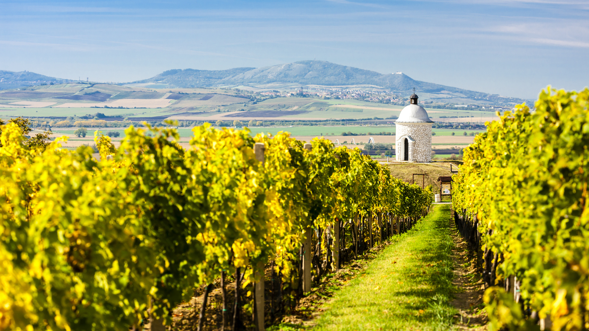 shutterstock_287623265-1655725344