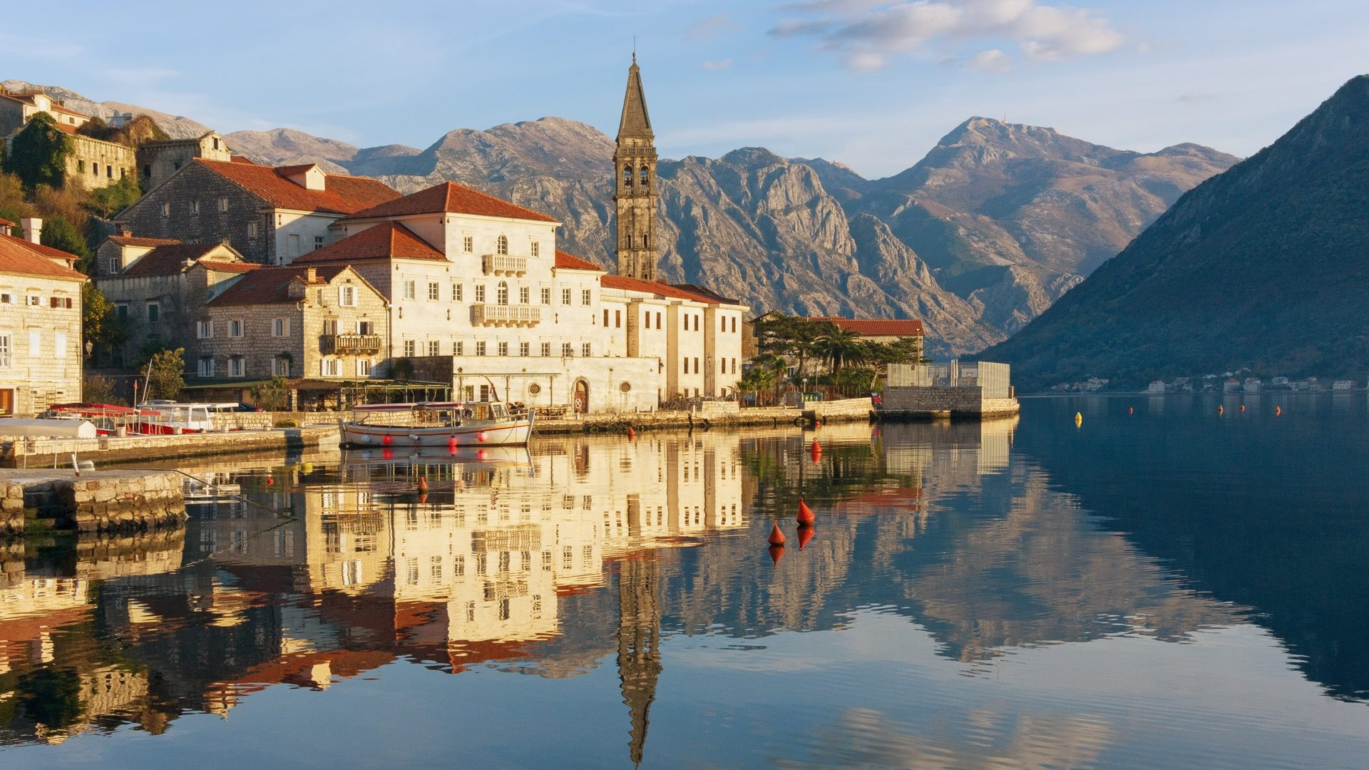 8b81105f-3f53-46ec-adc6-fe1f32ecb378-1605104121