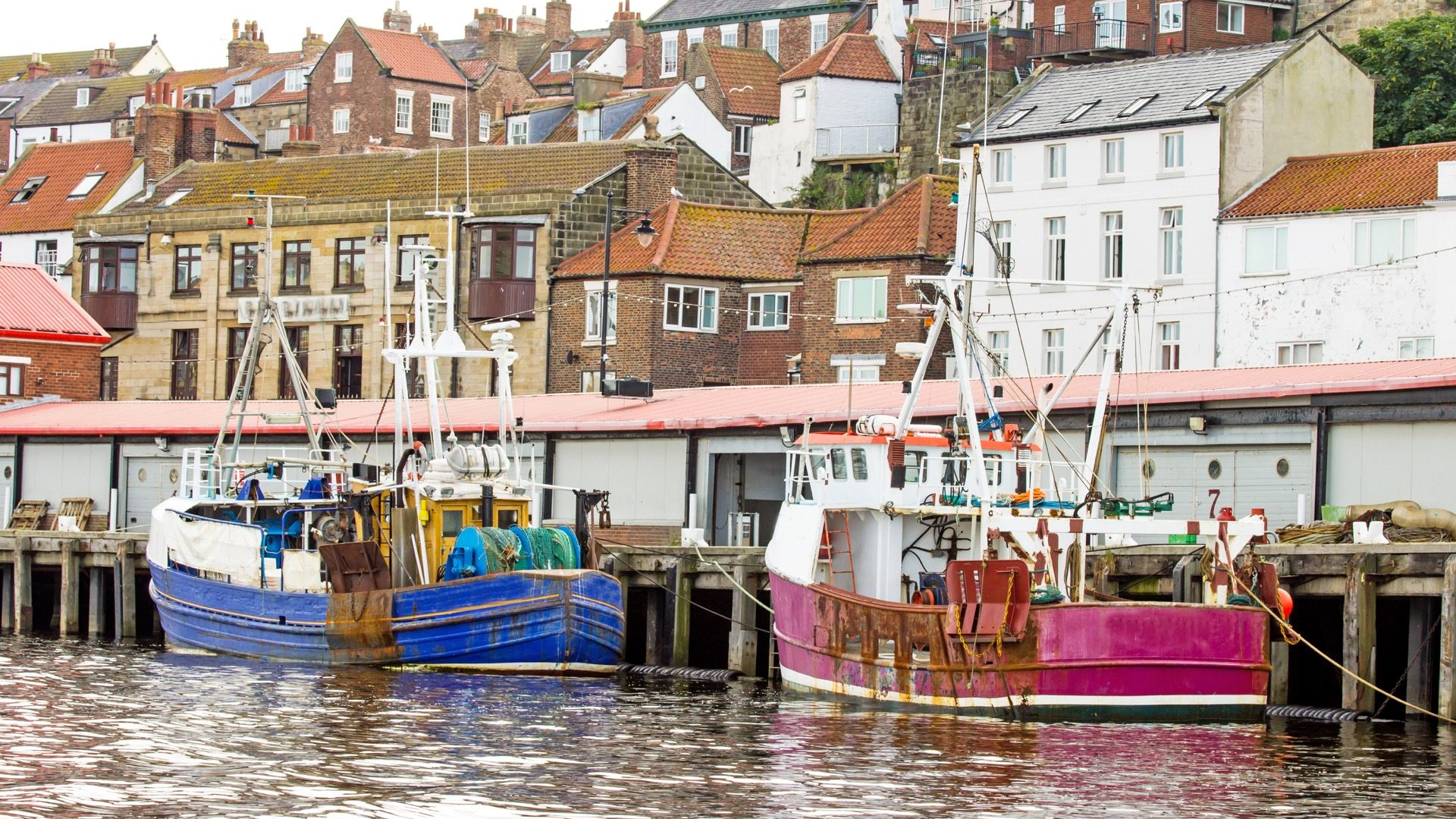 0853a6a7-1d77-4cd4-8c82-b94243d17649-1605102425