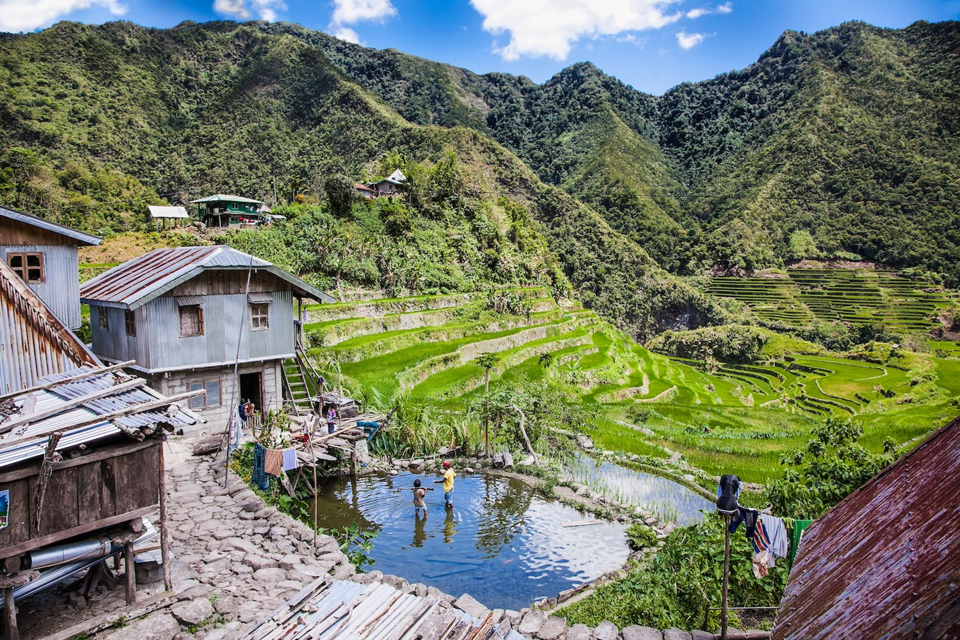 shutterstock_766133872-1759393342