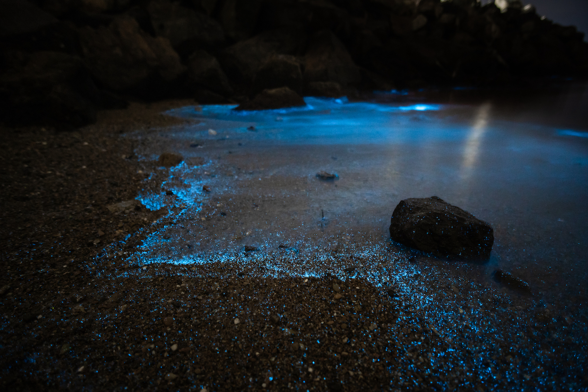 RugliG___Shutterstock-1675169210