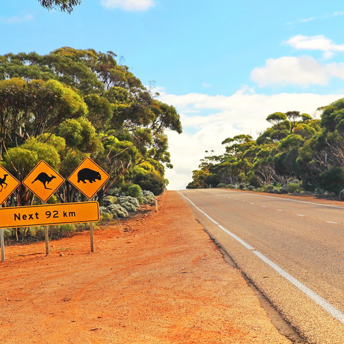 Internationale studenten en arbeidskrachten zijn weer welkom in Australië