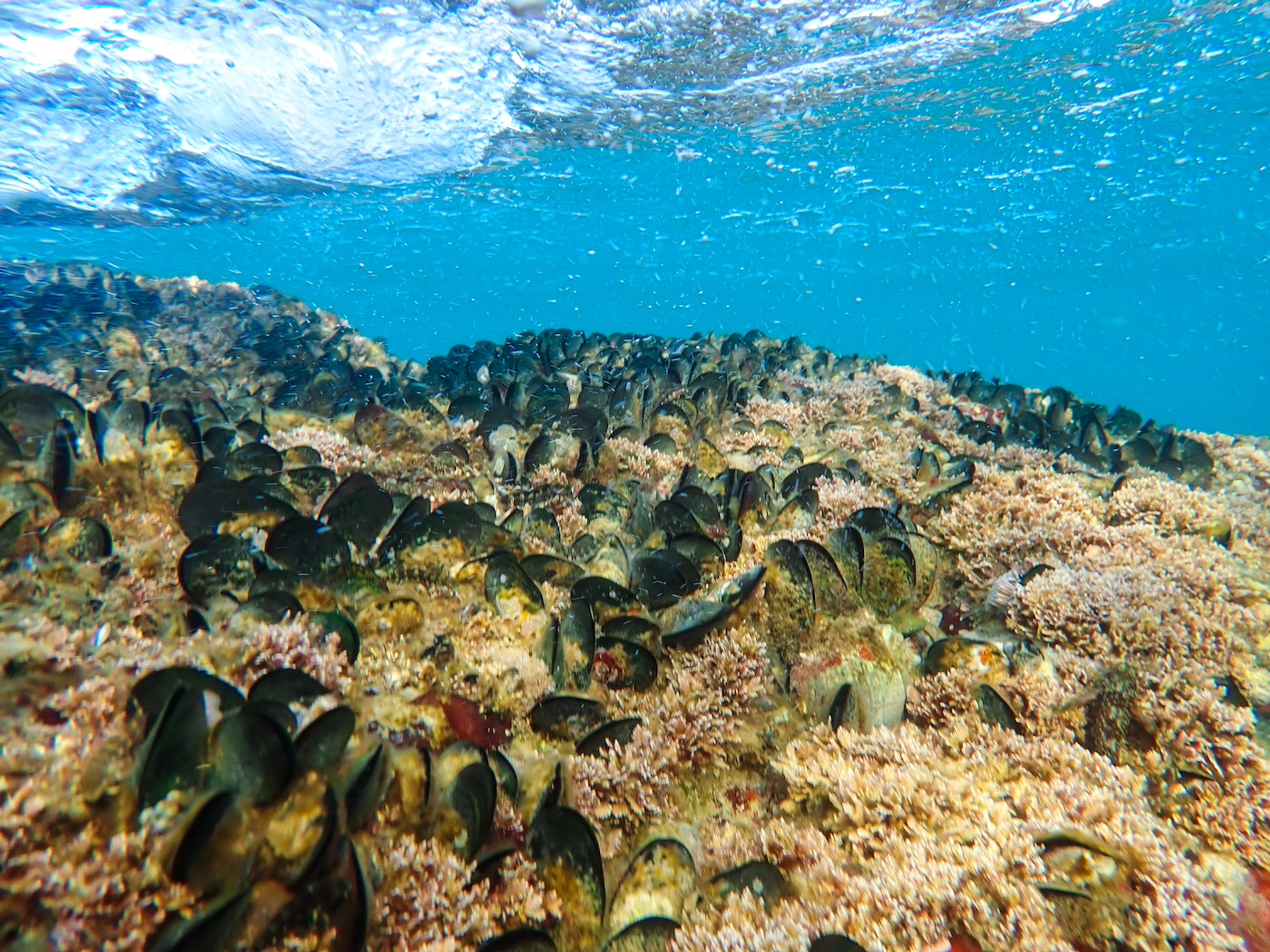 shutterstock_2300691683-1724745171