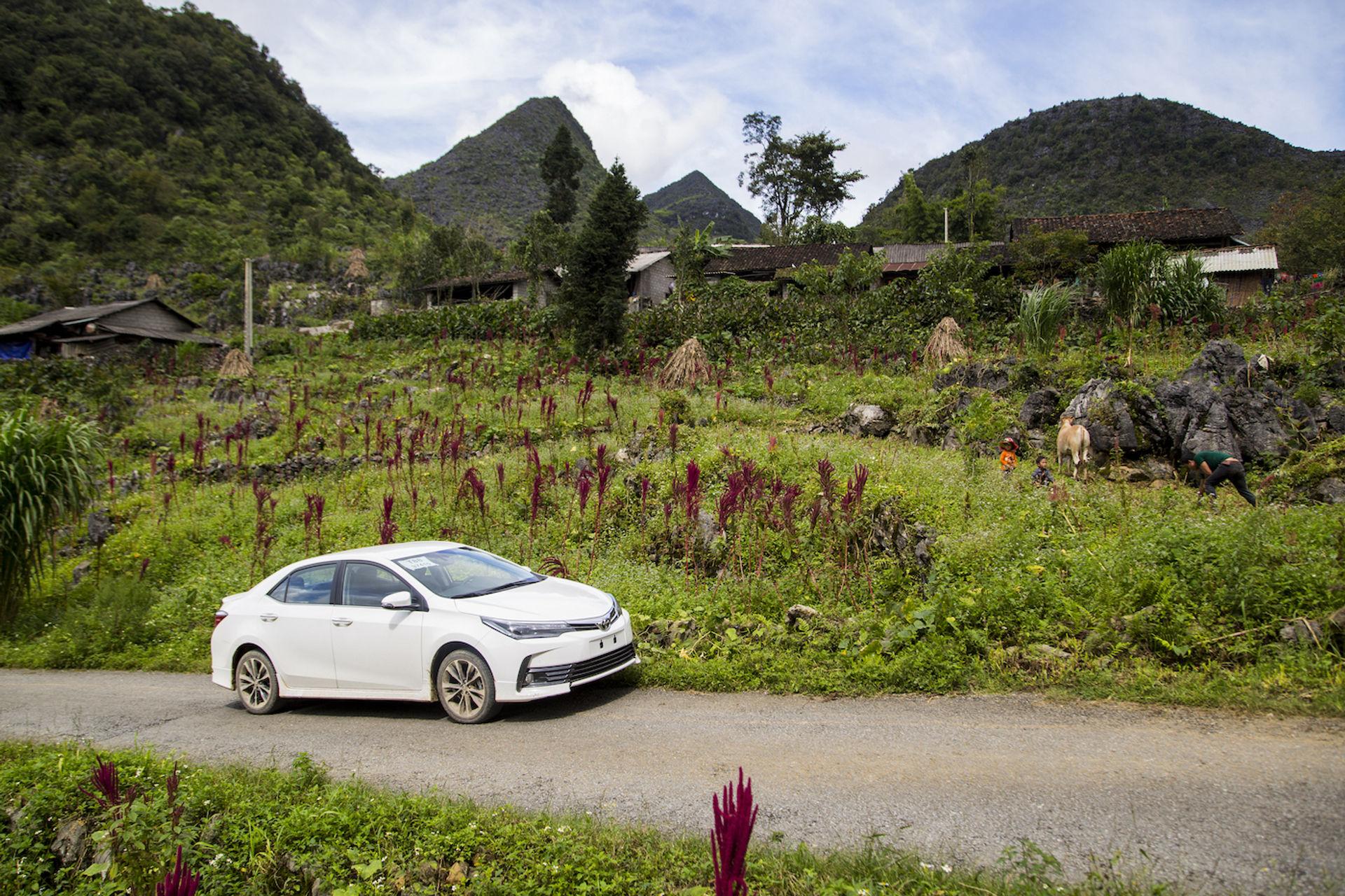 Ovu0ng___Shutterstock.com-1698841834