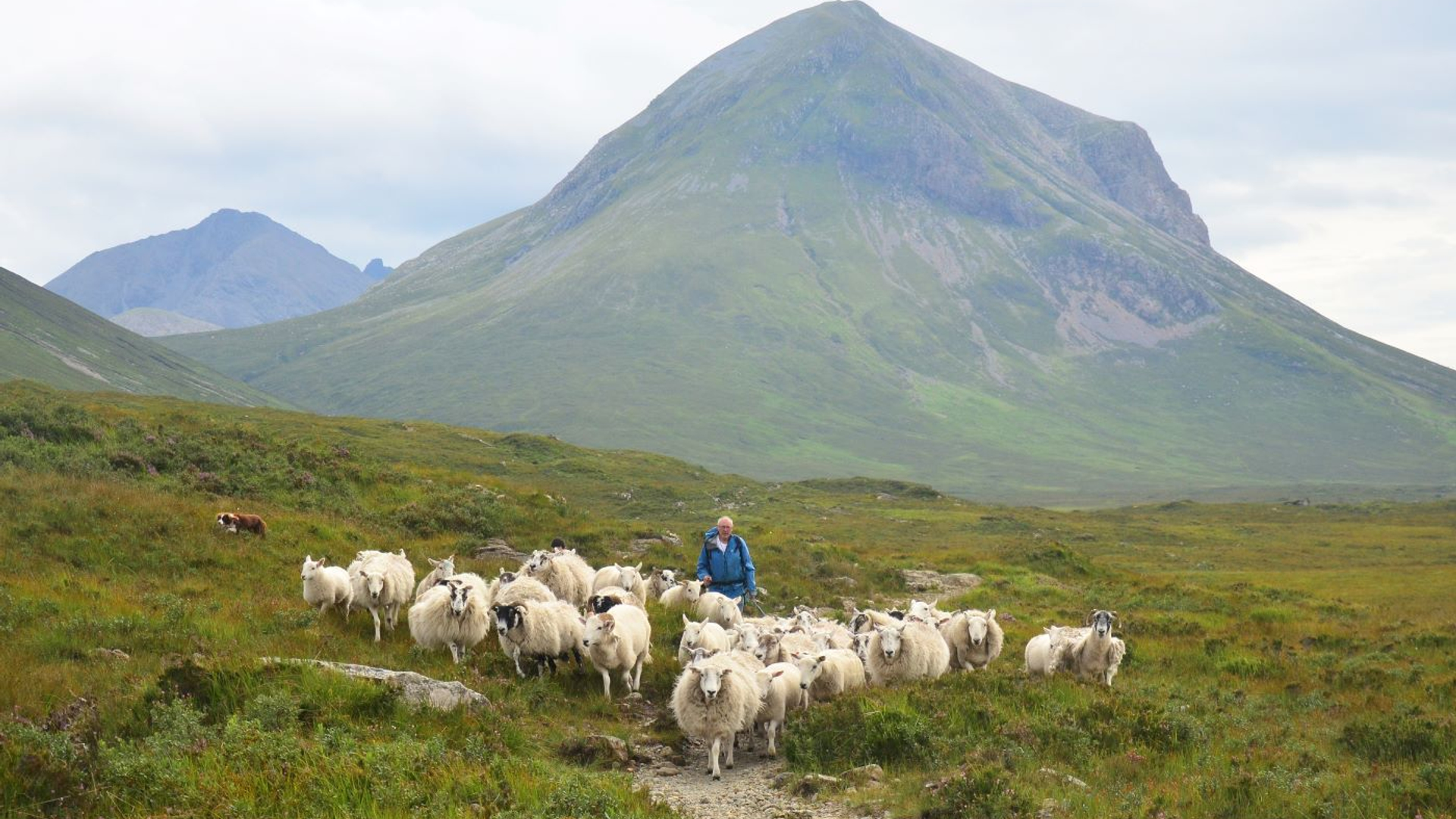 Sham_Bhalluk-1698851946