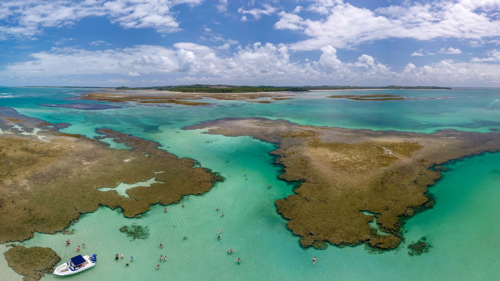 SergioRocha-1763567364