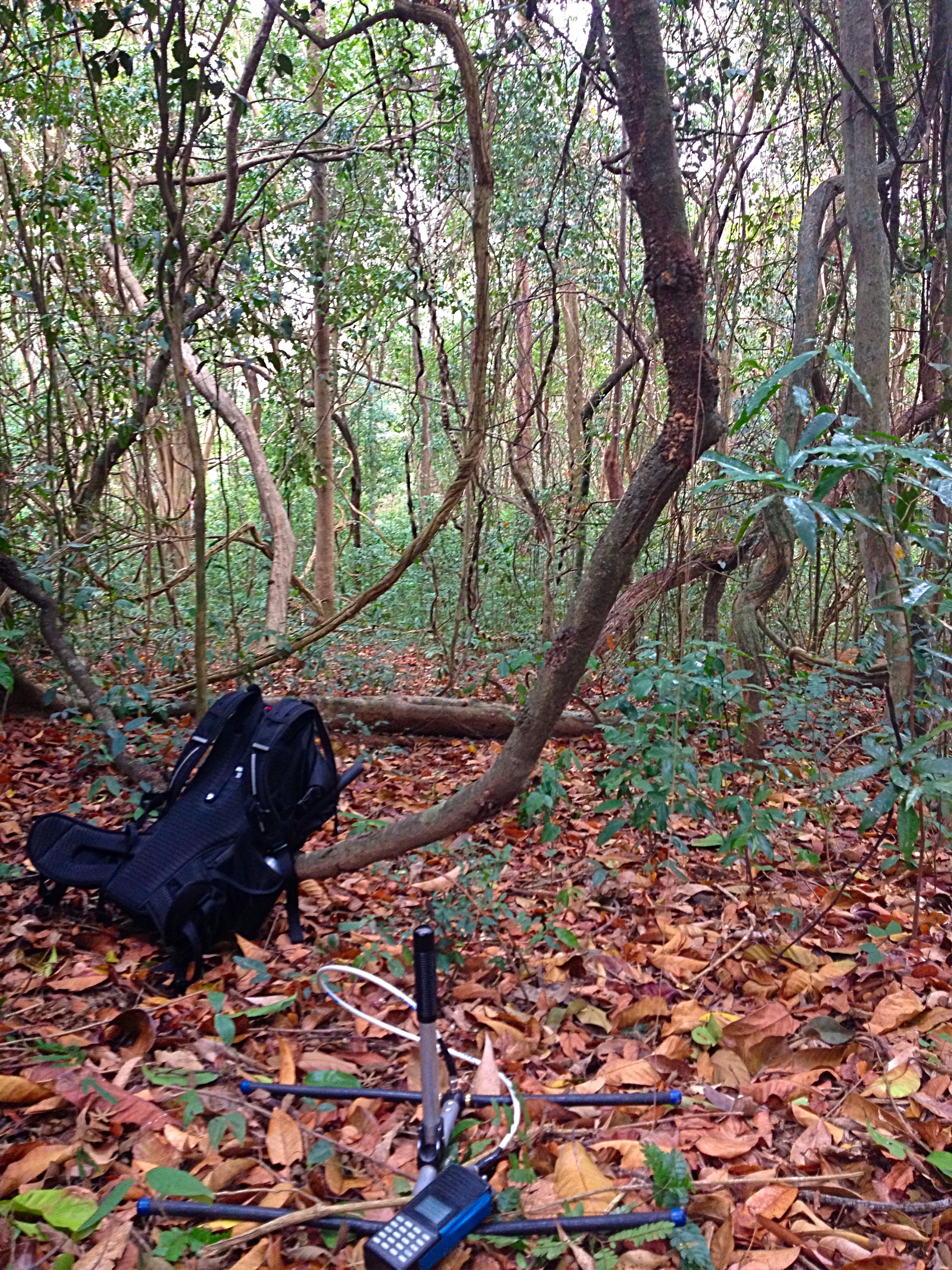 Mijn_kantoor____copyright_Jory_van_Thiel-1655383505