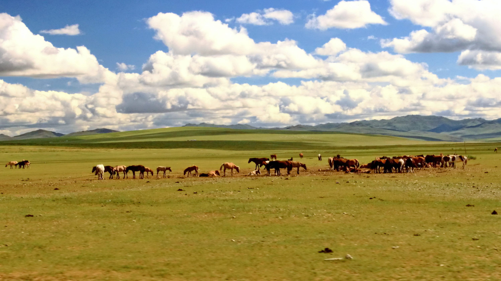 06074515-dcea-4057-ad7e-7348534f7066-1605104257